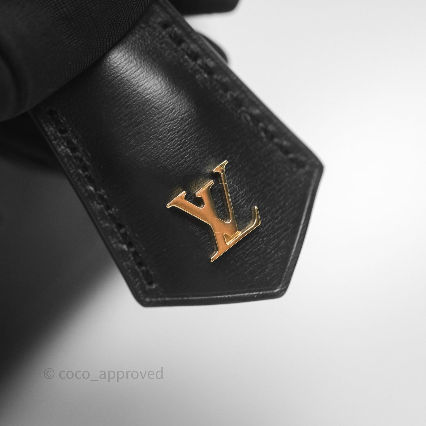 Louis Vuitton Vanity PM Monogram Ink Black