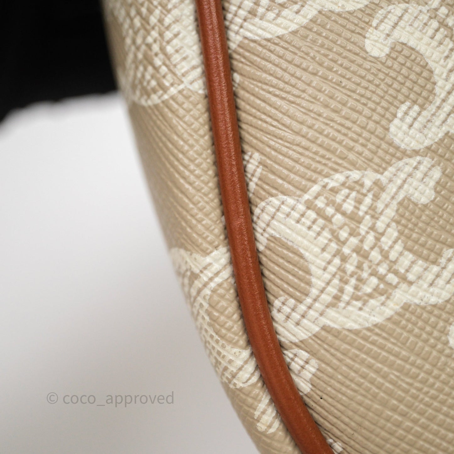 Celine Ava Bag In Triomphe Canvas Calfskin Grege