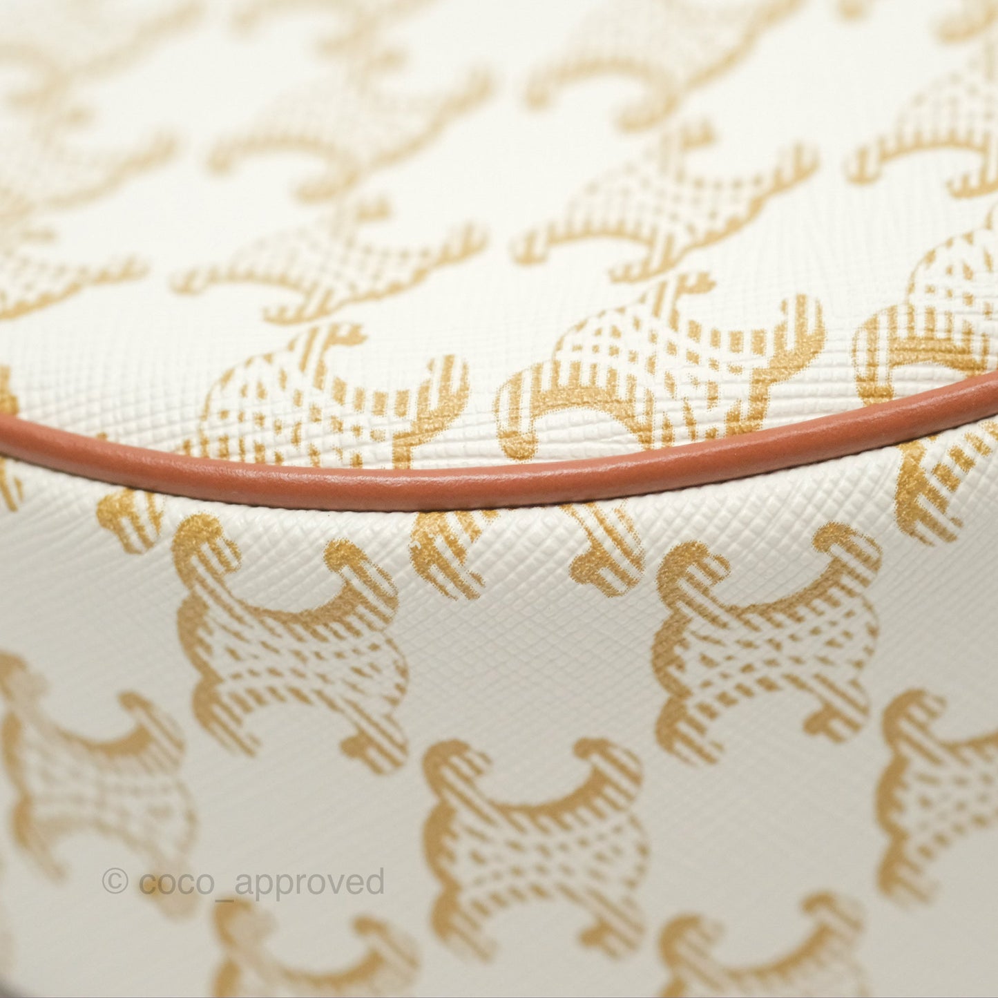 Celine Ava Bag In Triomphe Canvas Calfskin White