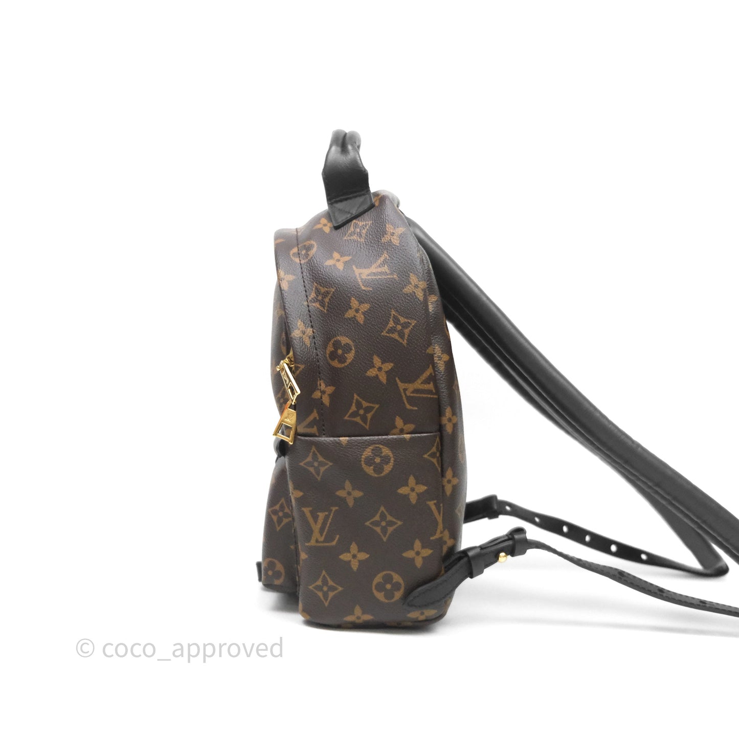 Louis Vuitton Palm Springs Backpack⁣ Monogram PM
