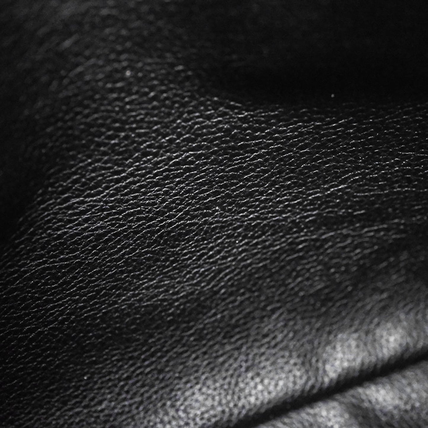 Goyard Anjou Mini Bag Goyardine Canvas Black