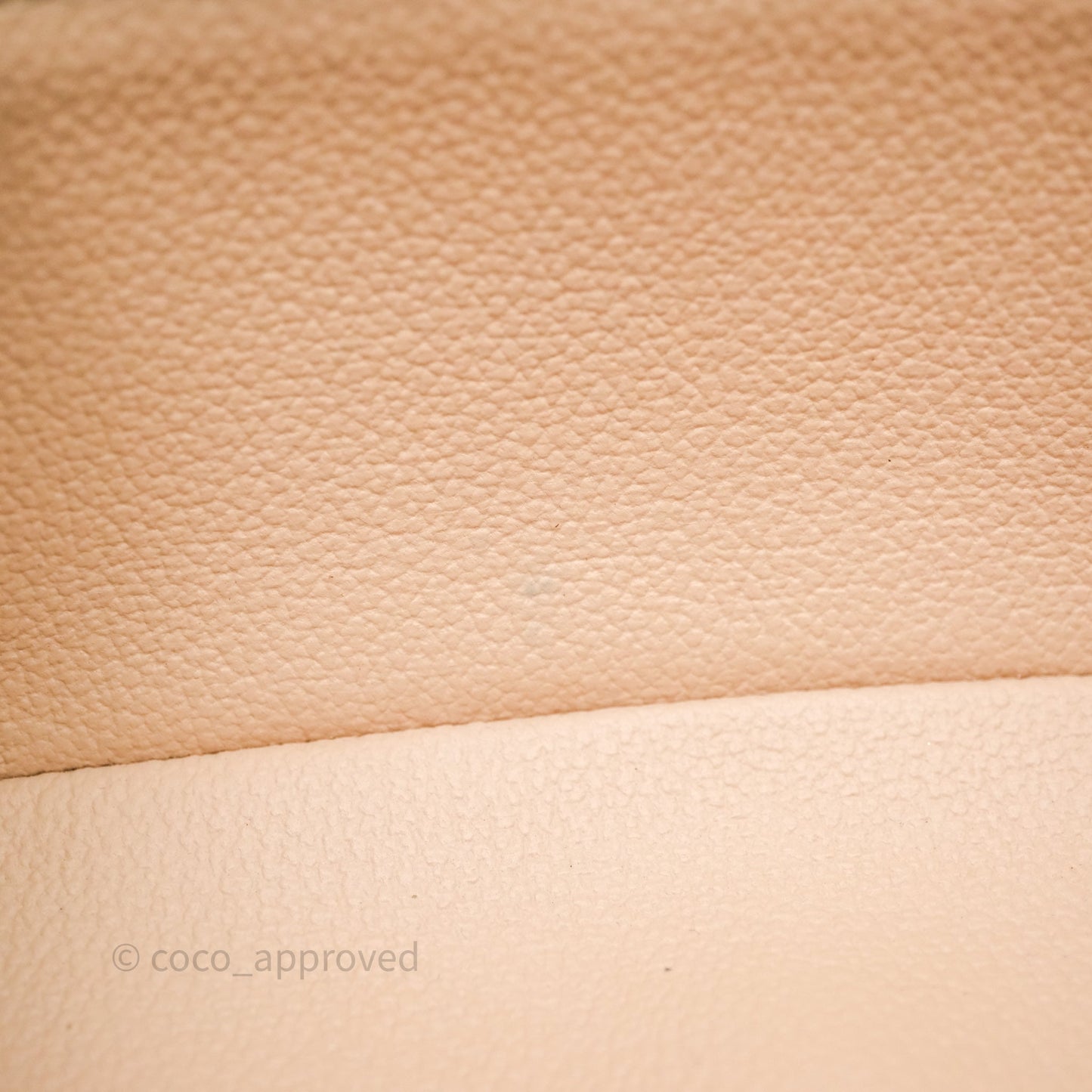 Louis Vuitton Nice Nano Monogram Canvas