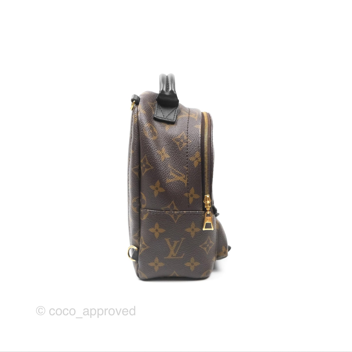 Louis Vuitton Mini Palm Springs Backpack⁣ Monogram