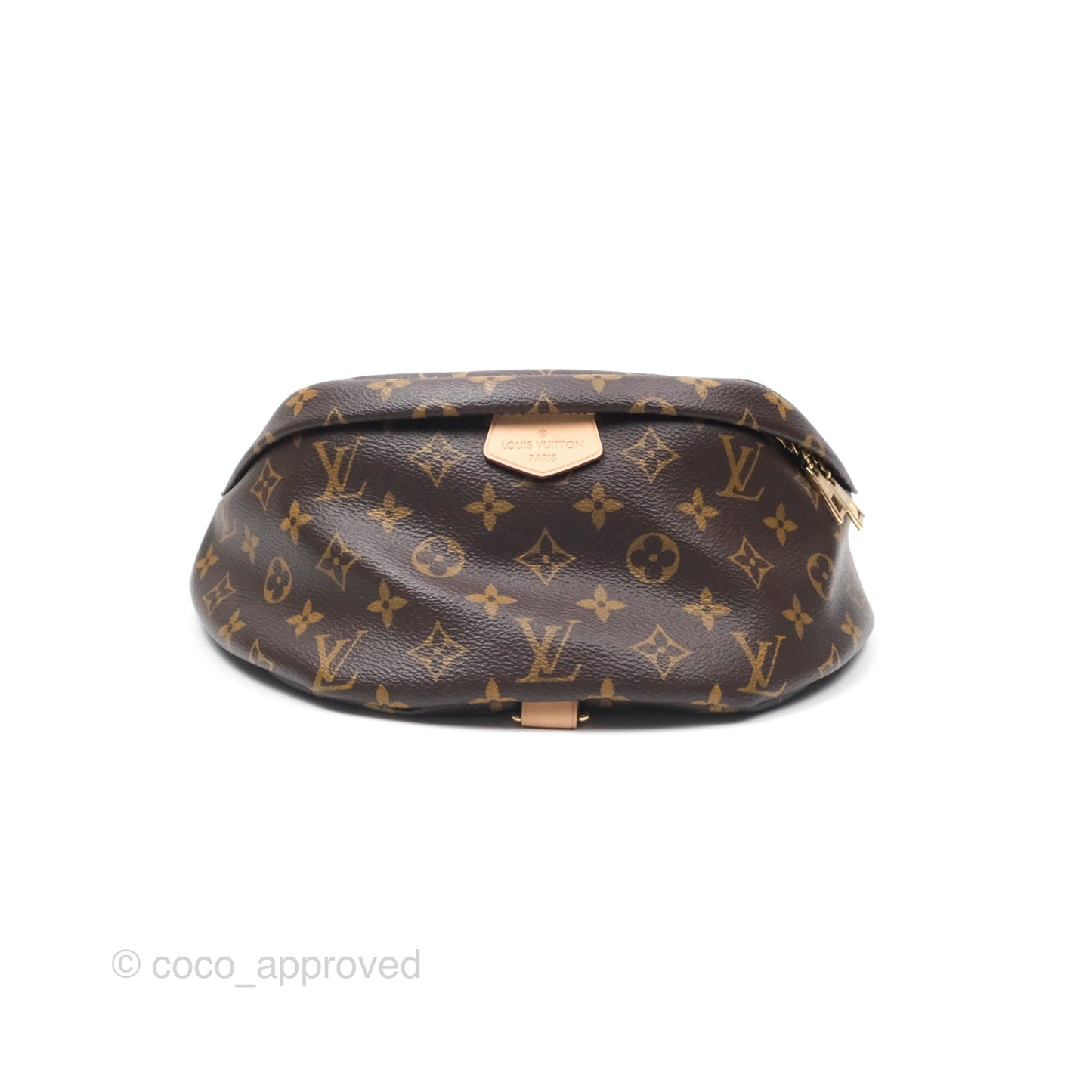 Louis Vuitton Bum Bag Monogram Canvas