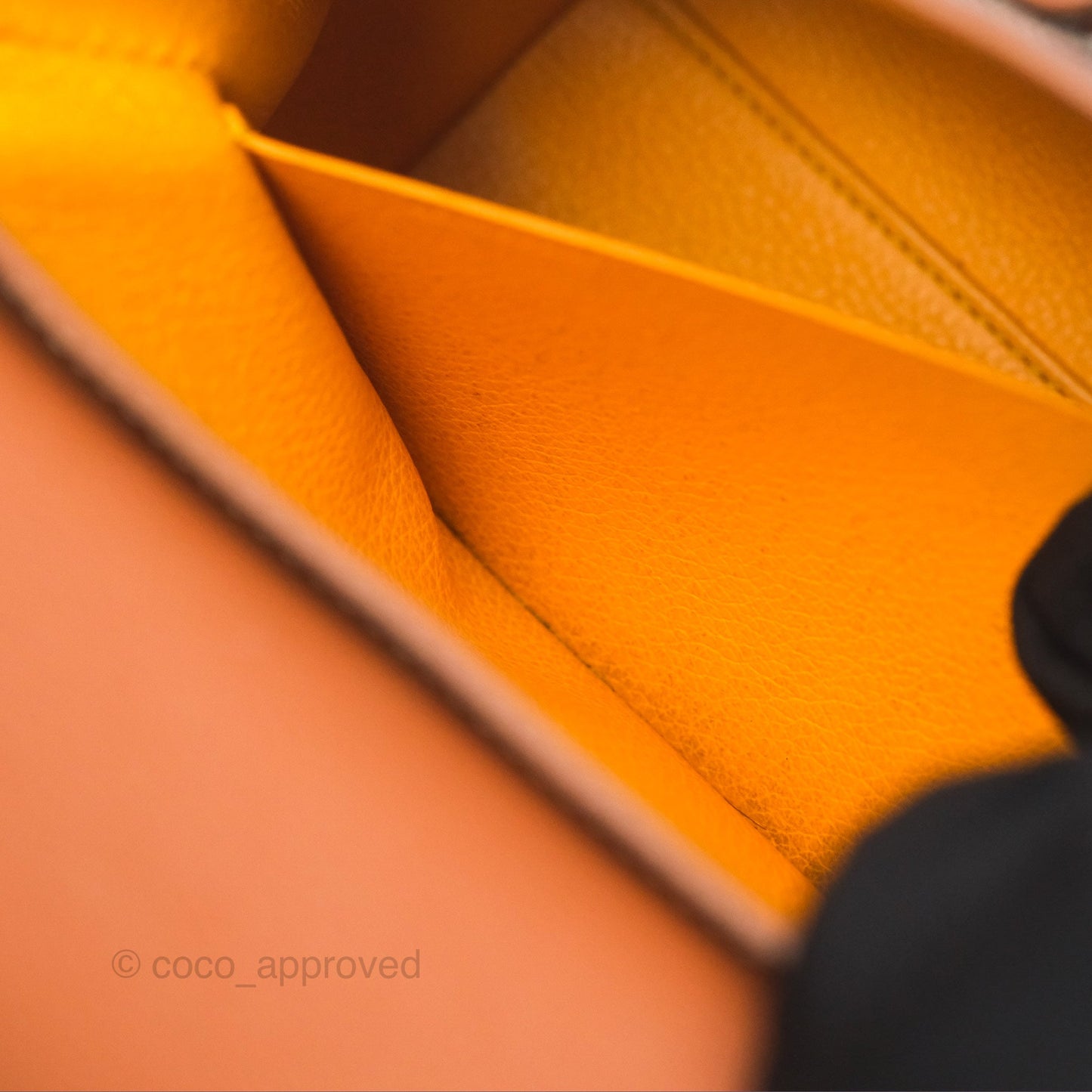 Goyard Saïgon Mini Bag Tan Goyardine Canvas/Chevroches Calfskin
