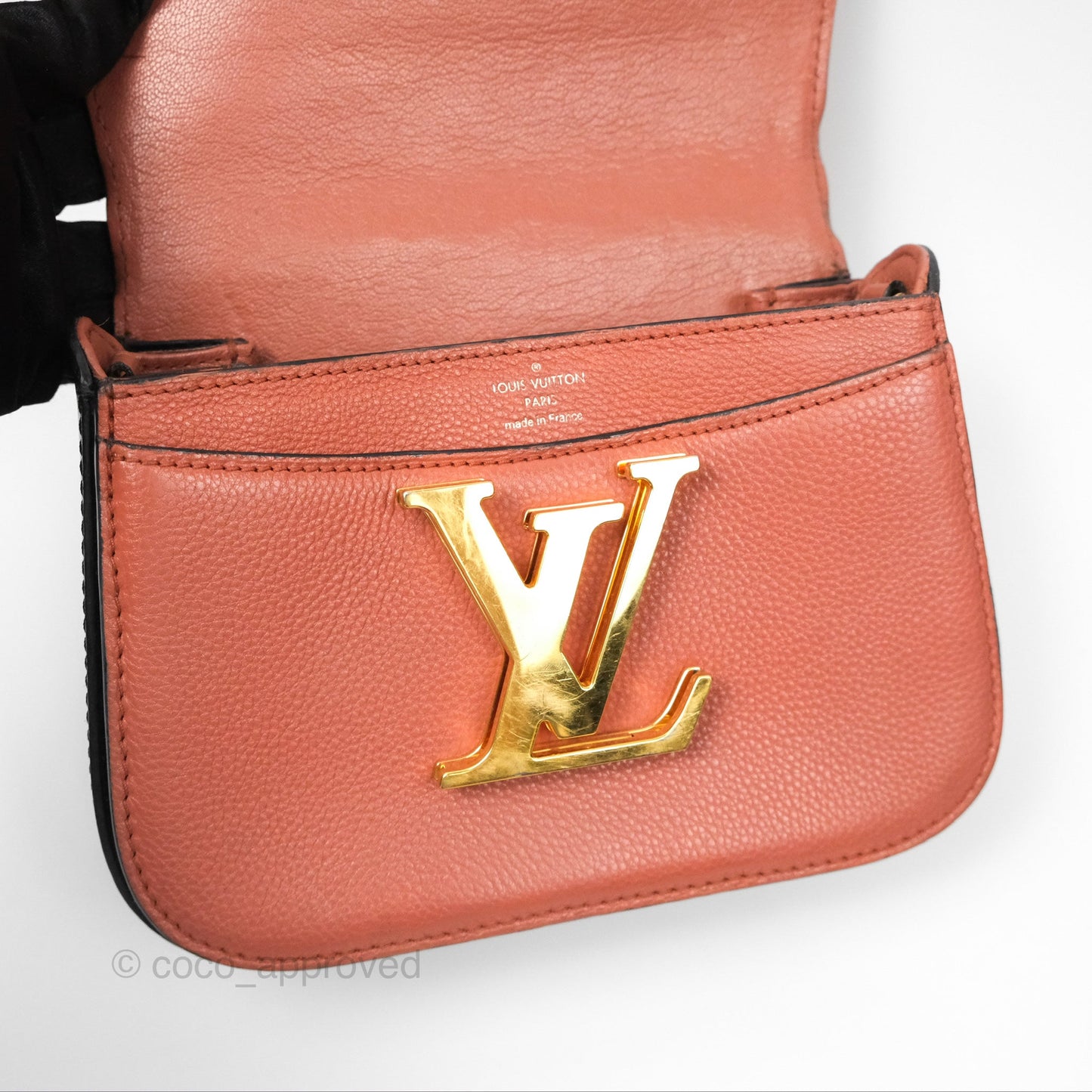 Louis Vuitton Vivienne Bag Brick Red Black