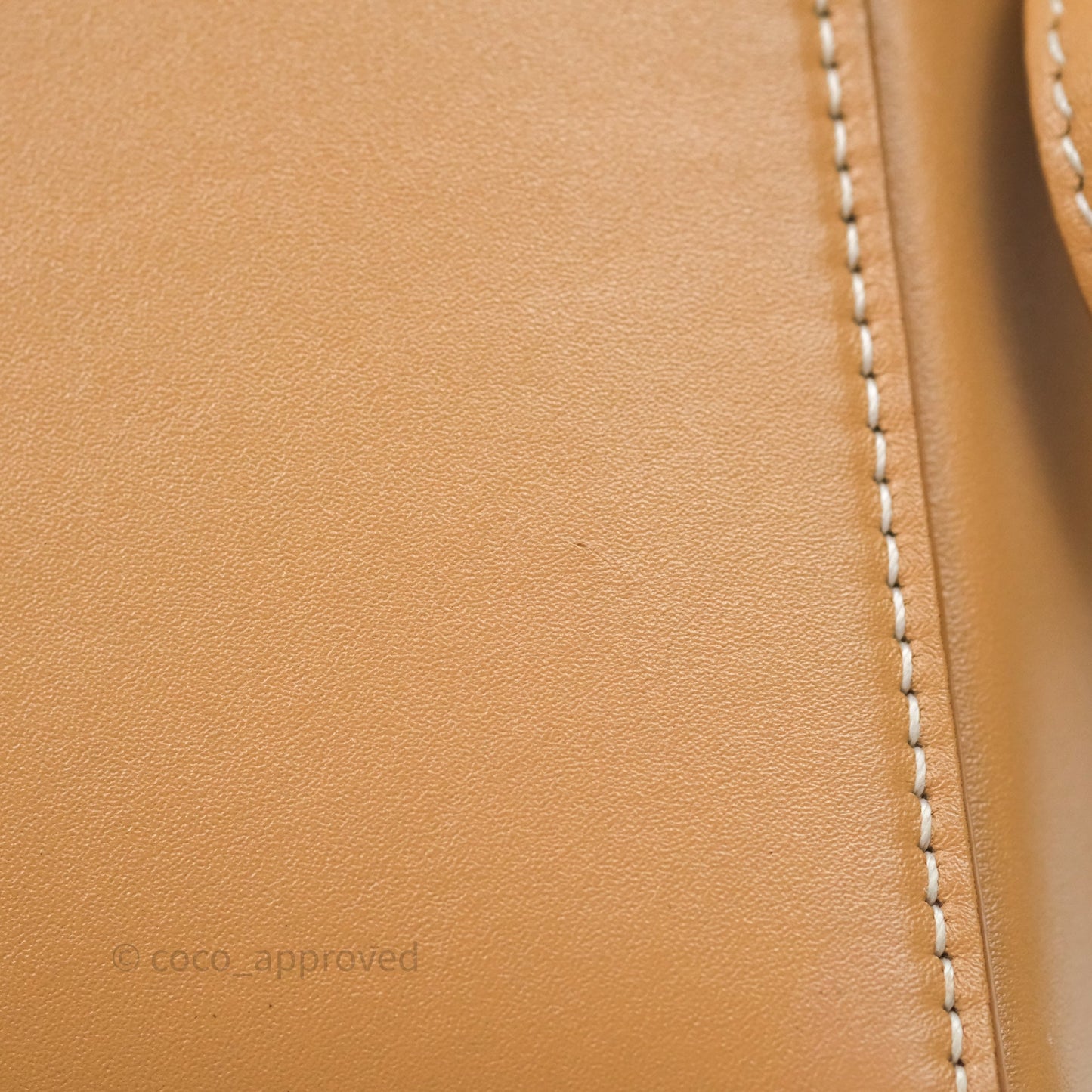 Loro Piana Extra Bag L27 Light Bamboo Calfskin Gold Hardware