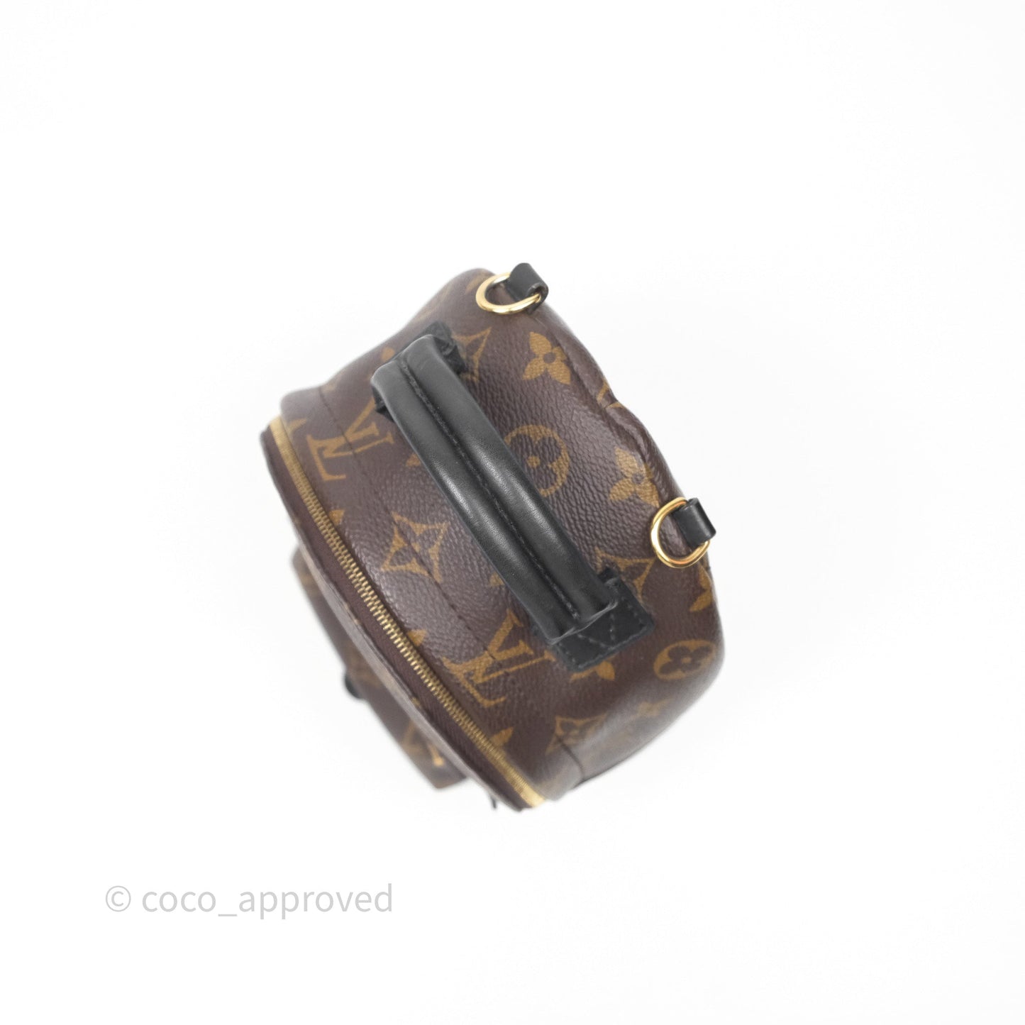 Louis Vuitton Mini Palm Springs Backpack⁣ Monogram