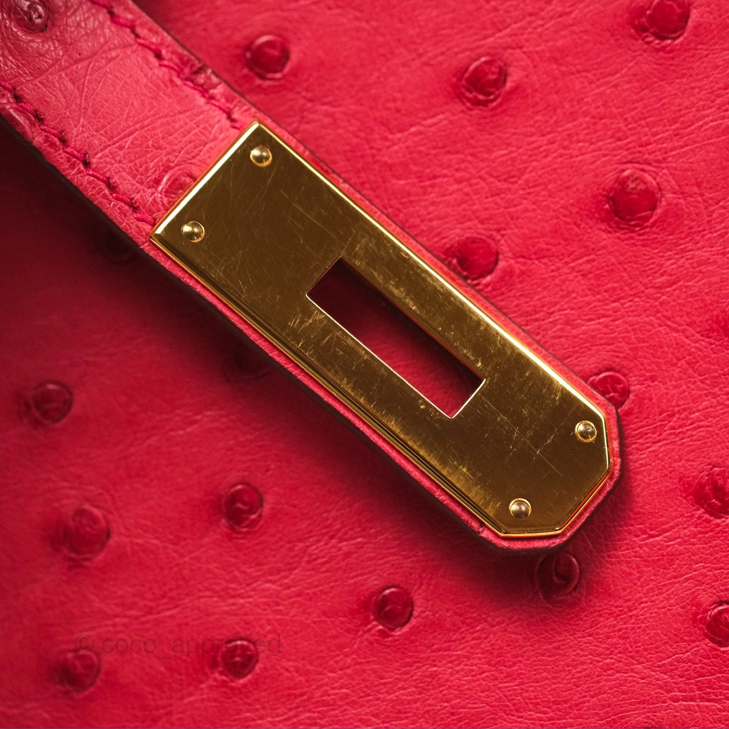 Hermès Birkin Retourne 30 Bougainvillea Ostrich Gold Hardware