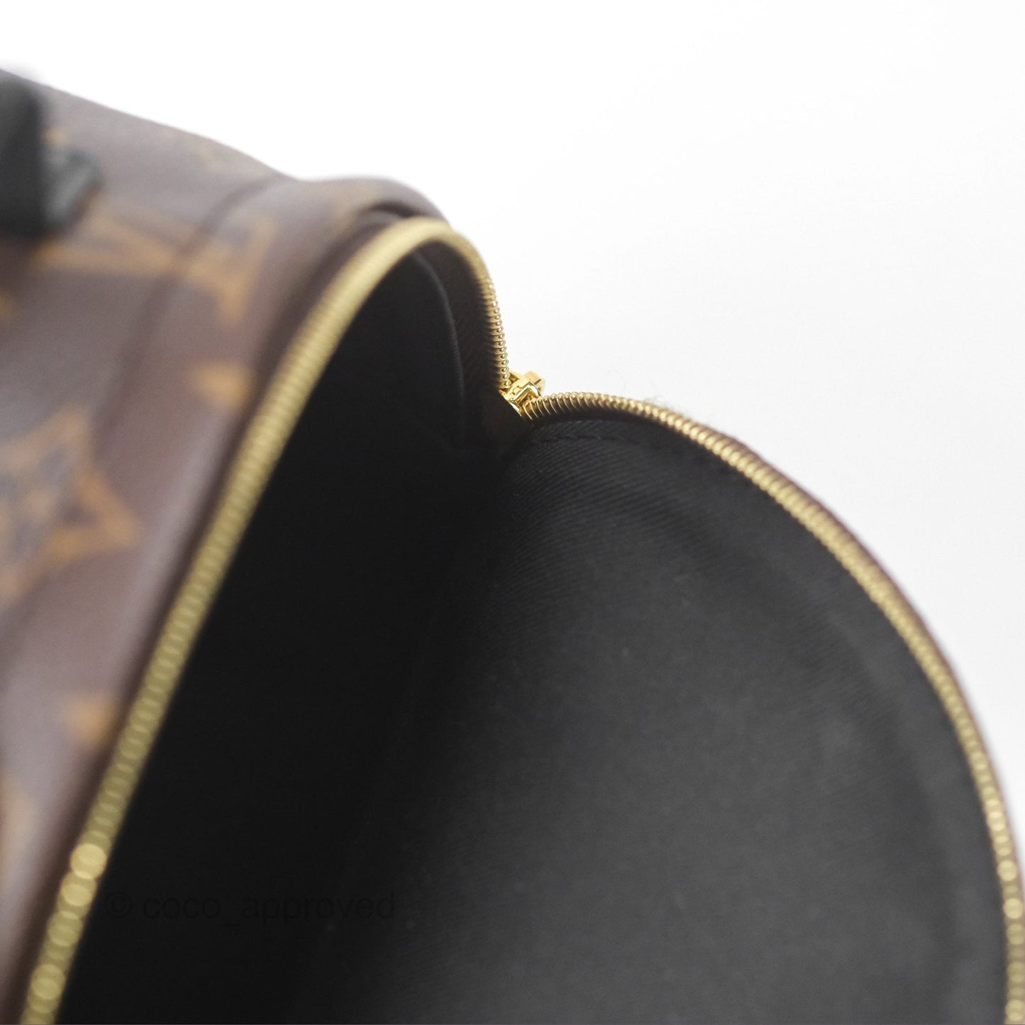 Louis Vuitton Monogram Mini Palm Springs Backpack⁣
