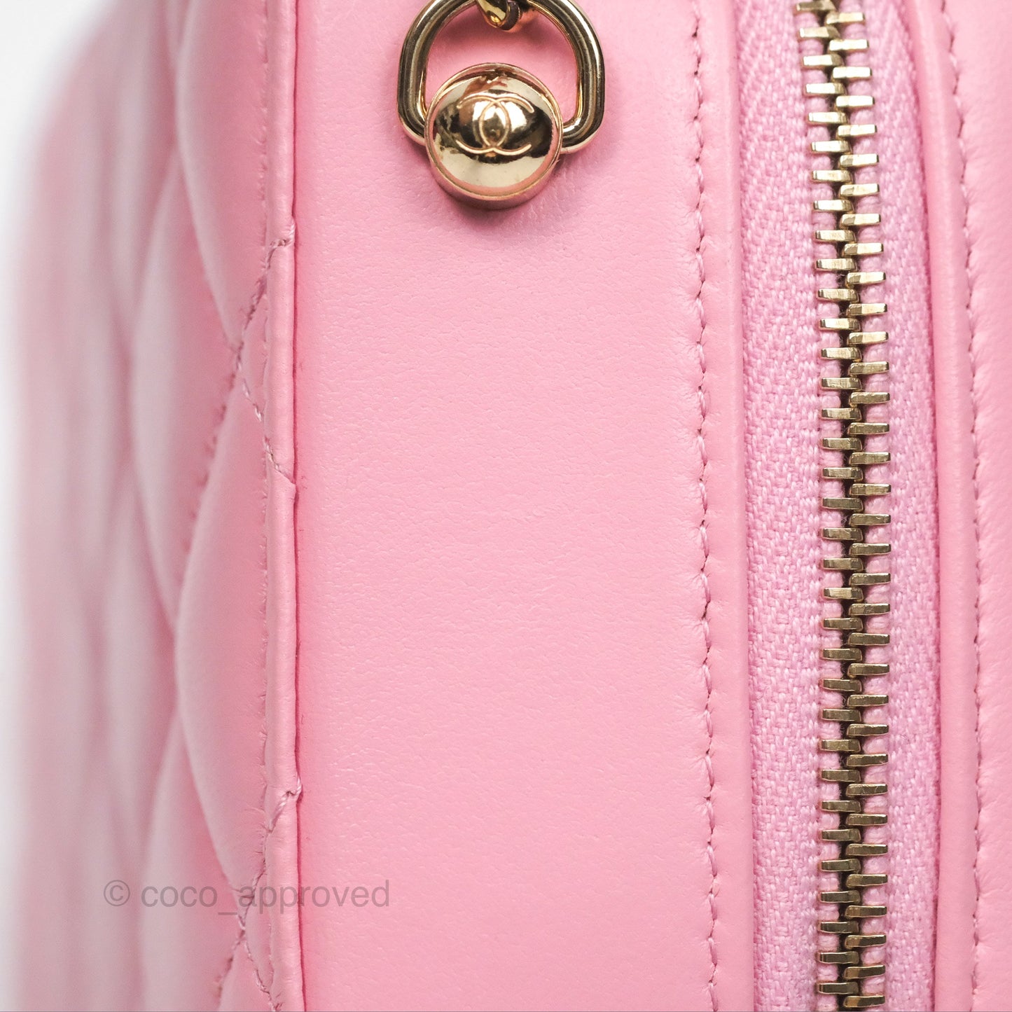 Chanel Camera Case Quilted Pink Lambskin Gold Hardware