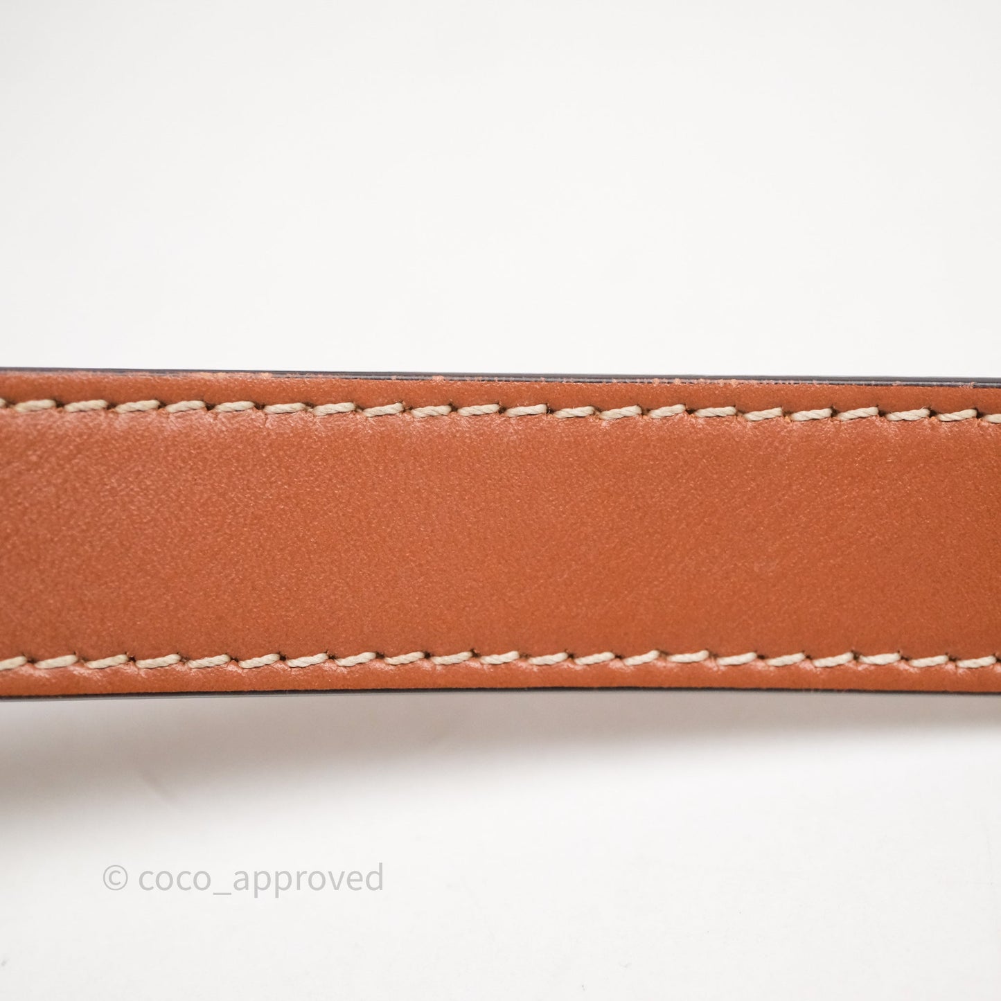 Celine Small Bucket Triomphe Canvas Grege Calfskin