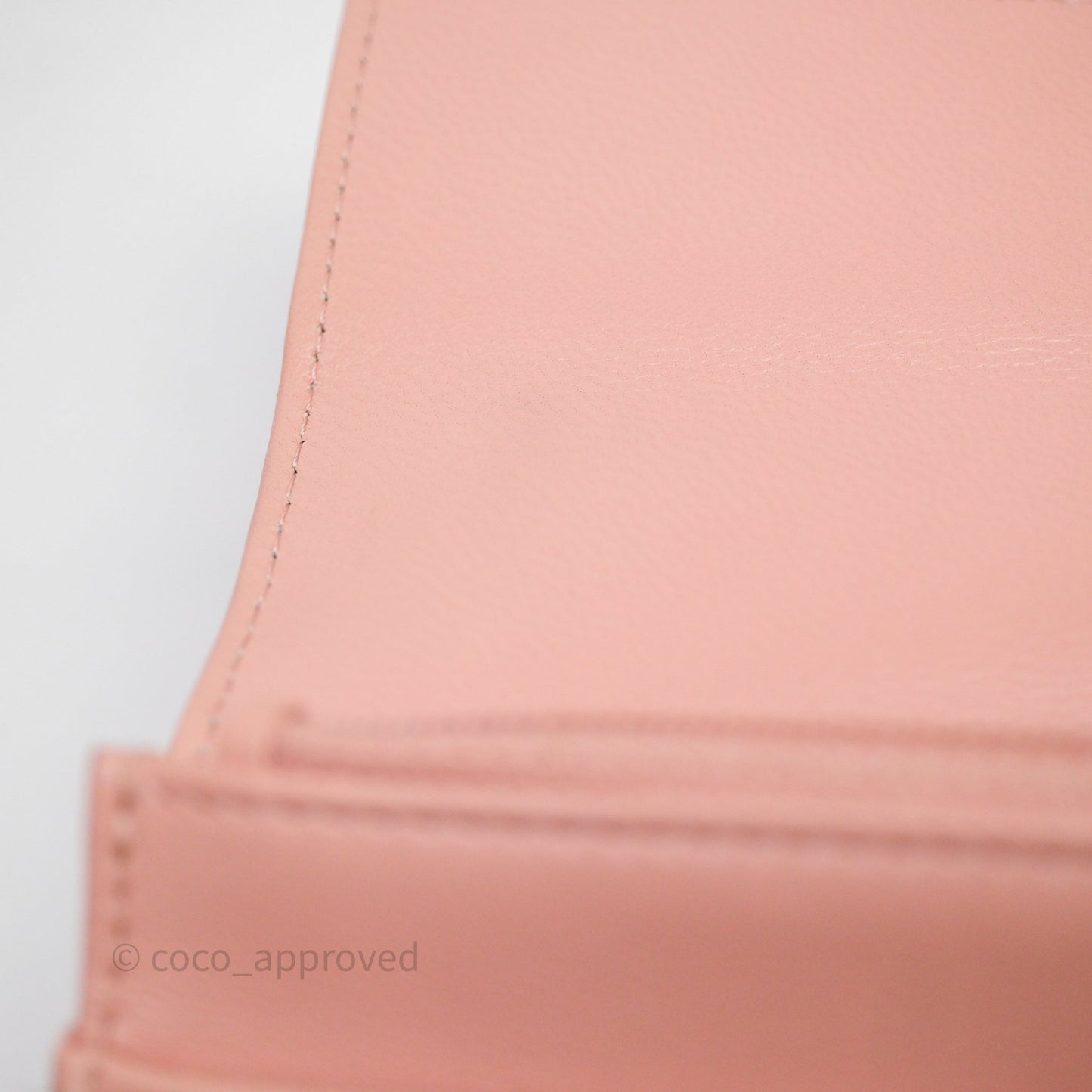 Chanel 19 Wallet on Chain WOC Light Pink Mixed Hardware