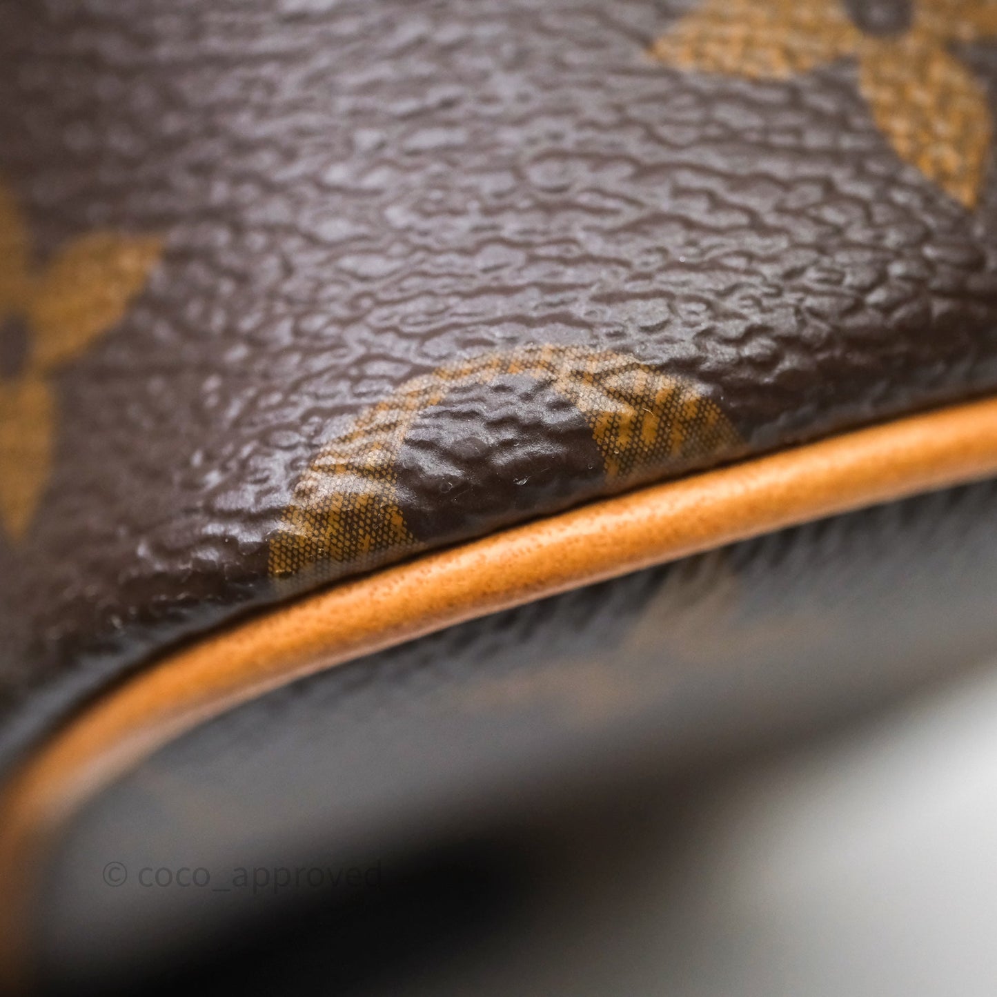 Louis Vuitton Nice Nano Monogram Canvas