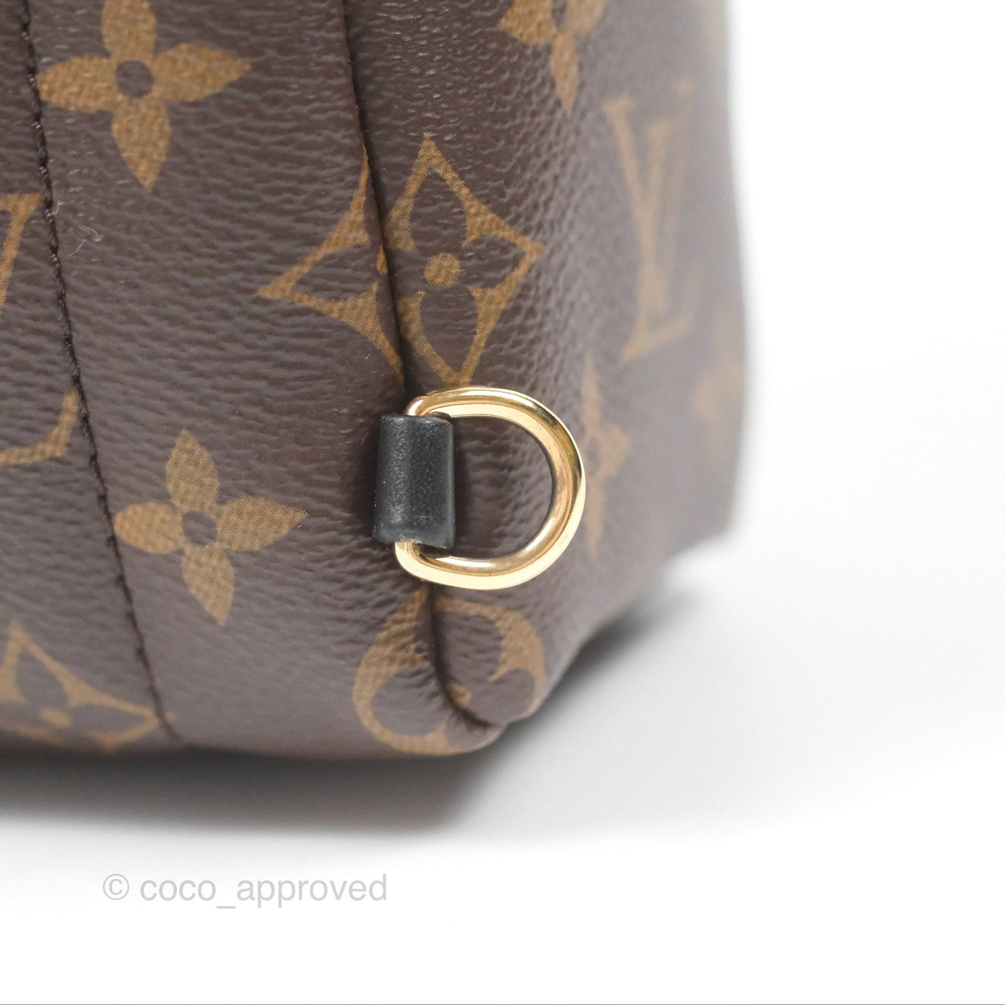 Louis Vuitton Monogram Mini Palm Springs Backpack⁣