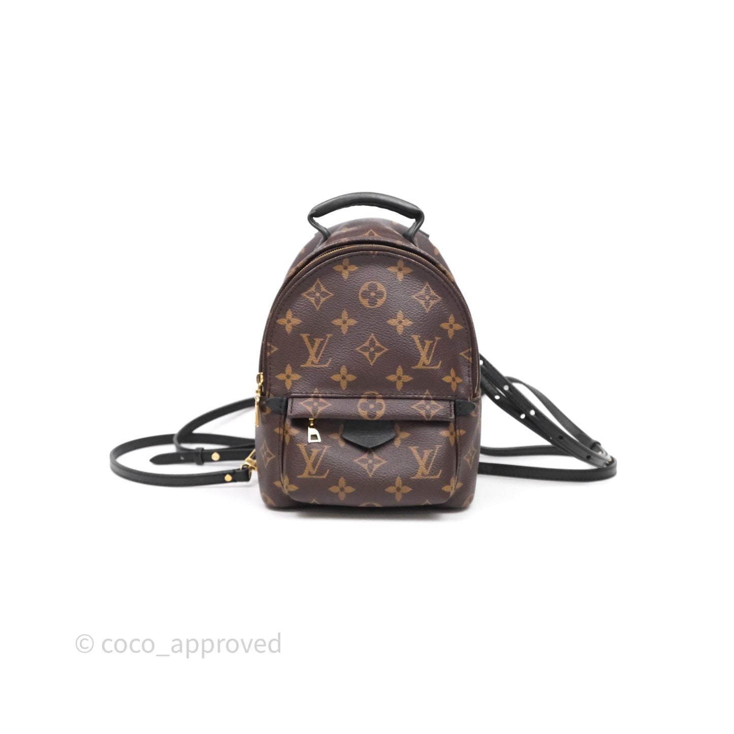 Louis Vuitton Mini Palm Springs Backpack⁣ Monogram