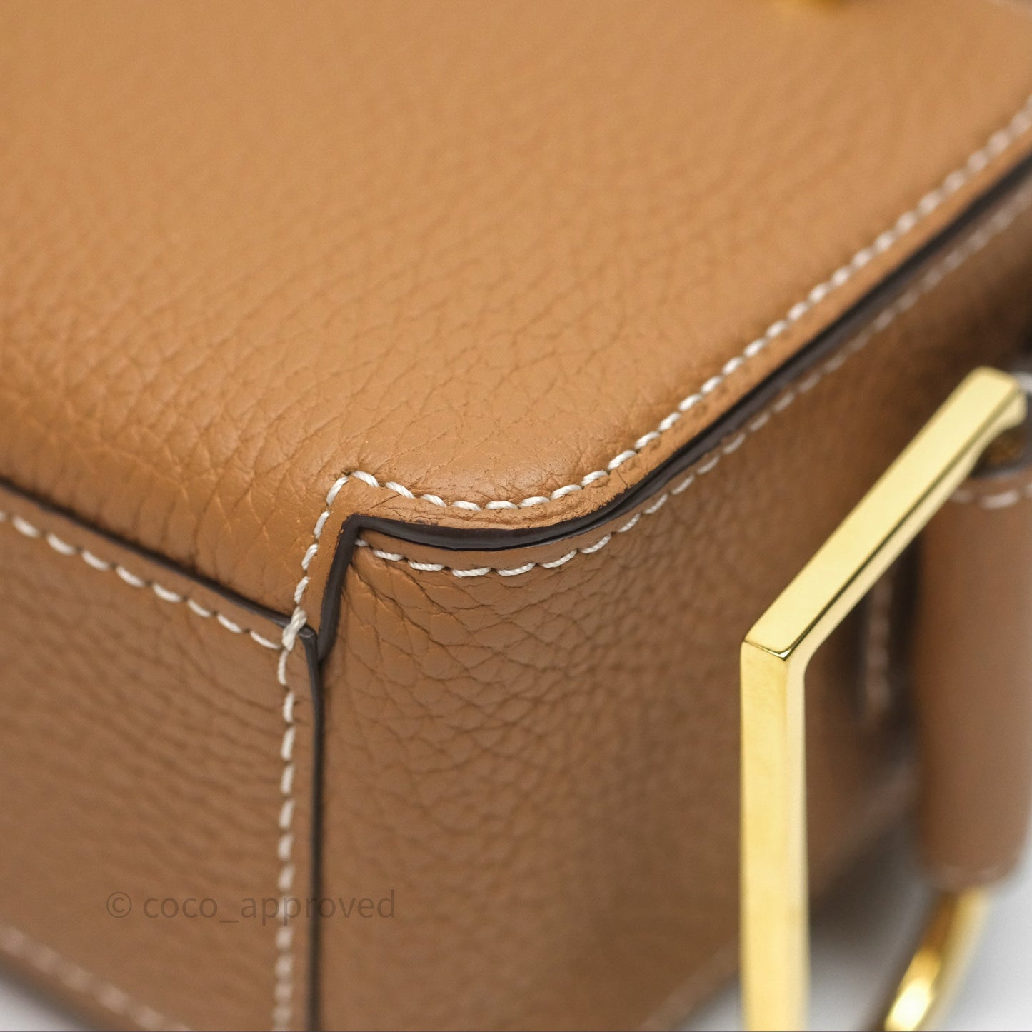 Delvaux Cool Box Nano Taurillon Soft Grained Calfskin Vegetal Ivory Gold Hardware