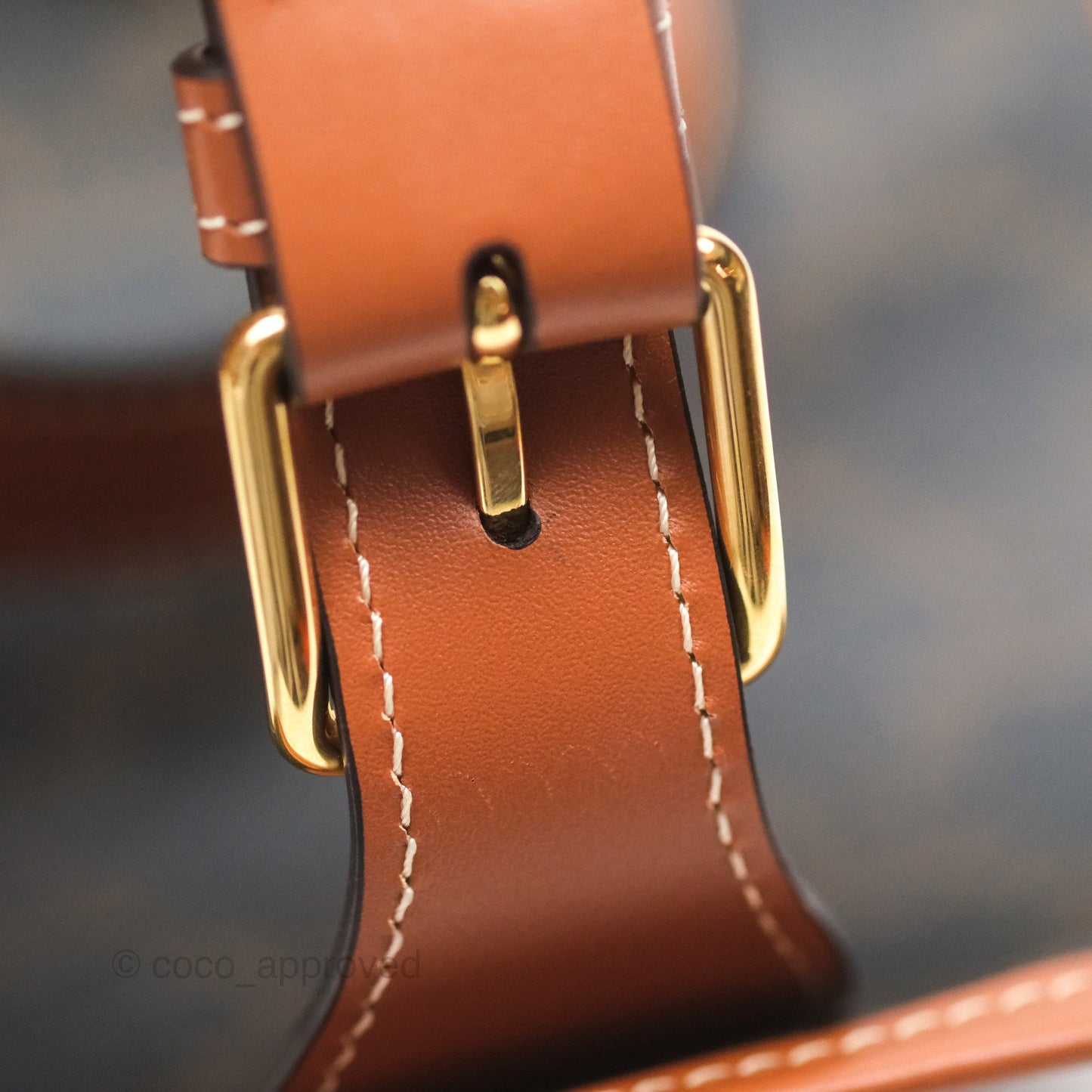Celine Medium Folco Backpack in Triomphe Canvas Calfskin