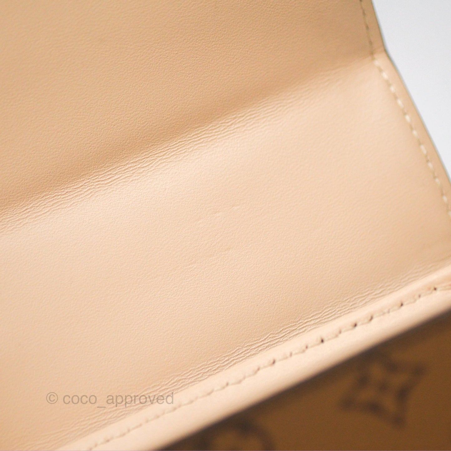 Louis Vuitton Reverse Monogram Pochette Vertical Trunk