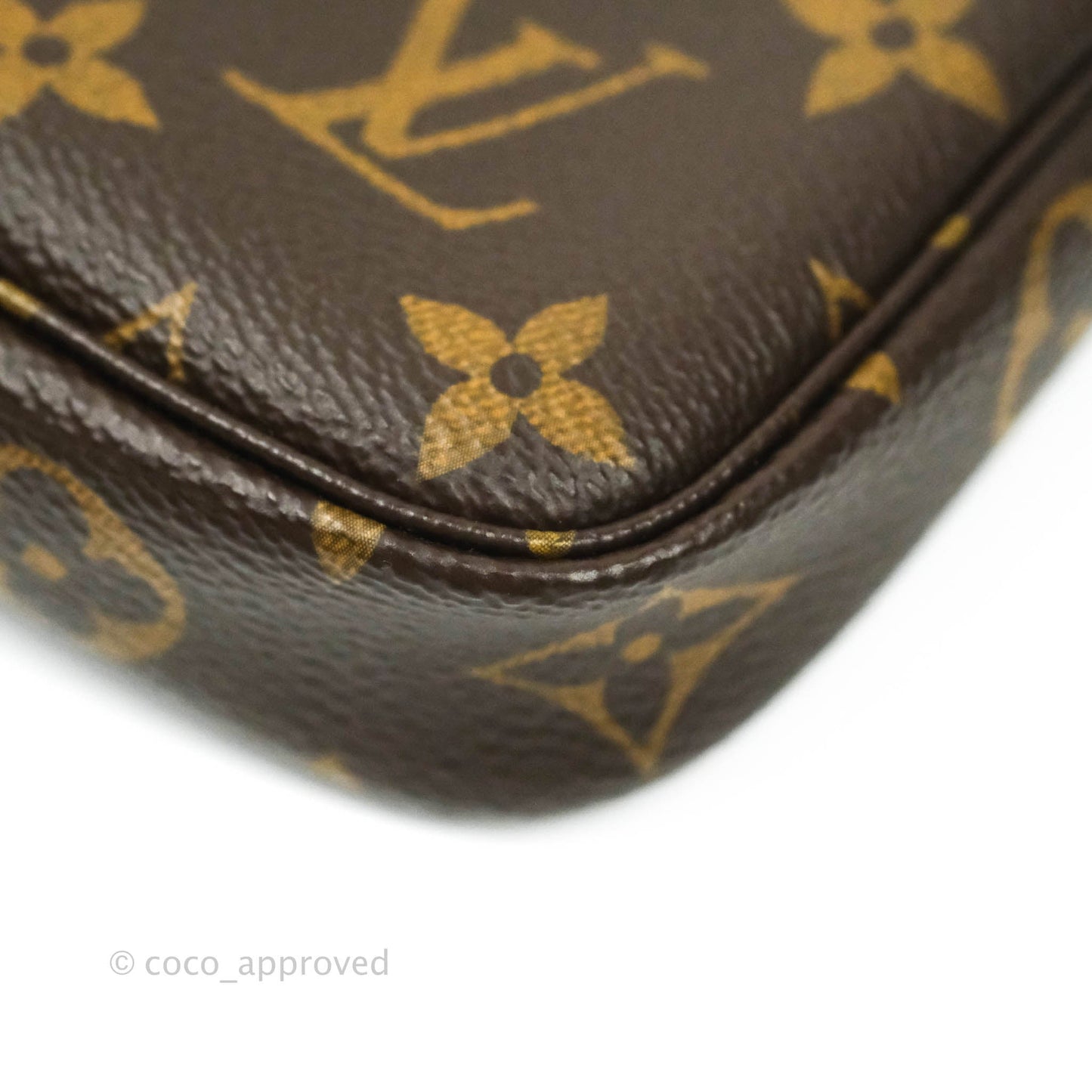 Louis Vuitton Monogram Canvas Mini Pochette Accessories
