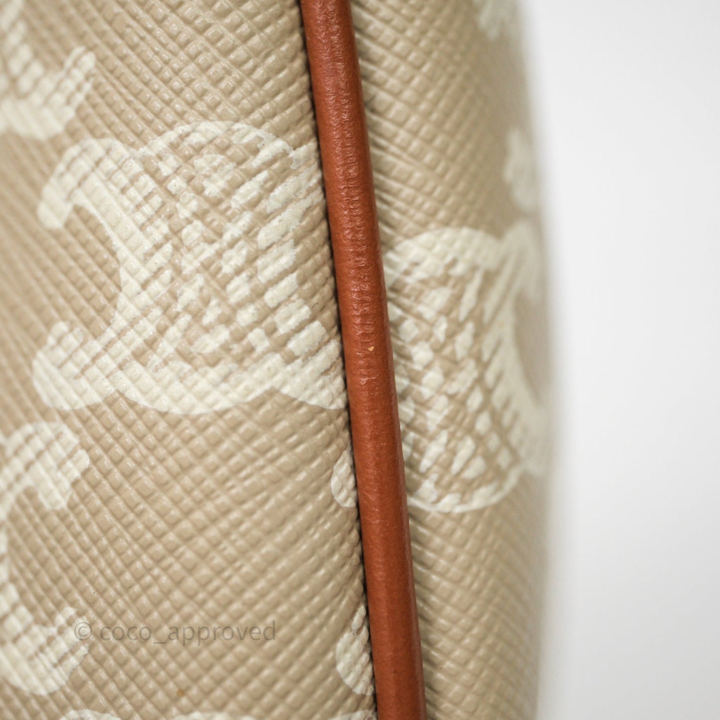 Celine Ava Bag In Triomphe Canvas Calfskin Grege