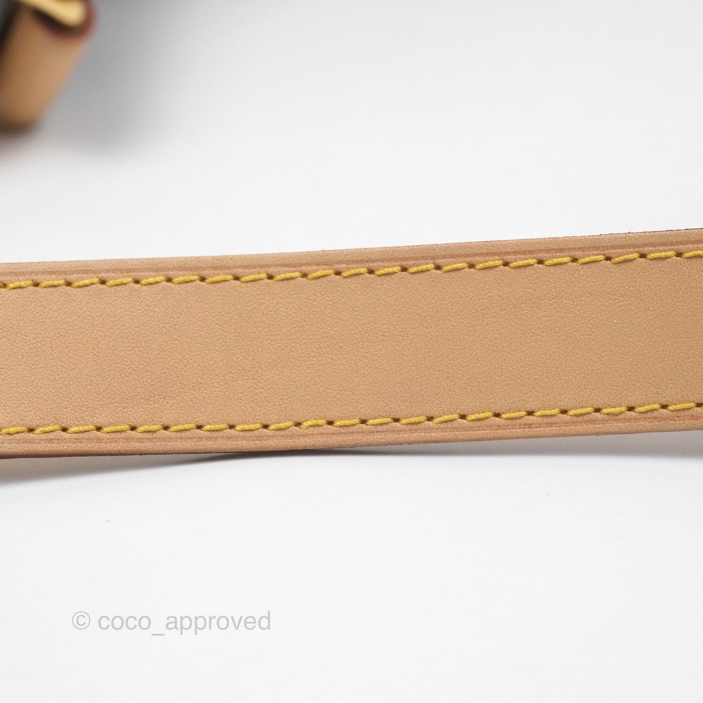 Louis Vuitton Bum Bag Monogram Canvas