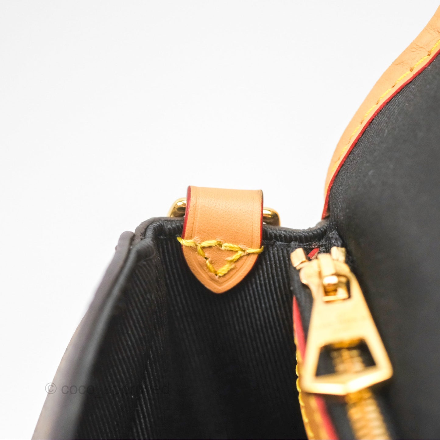 Louis Vuitton Diane Bag Monogram Canvas with Jacquard Strap