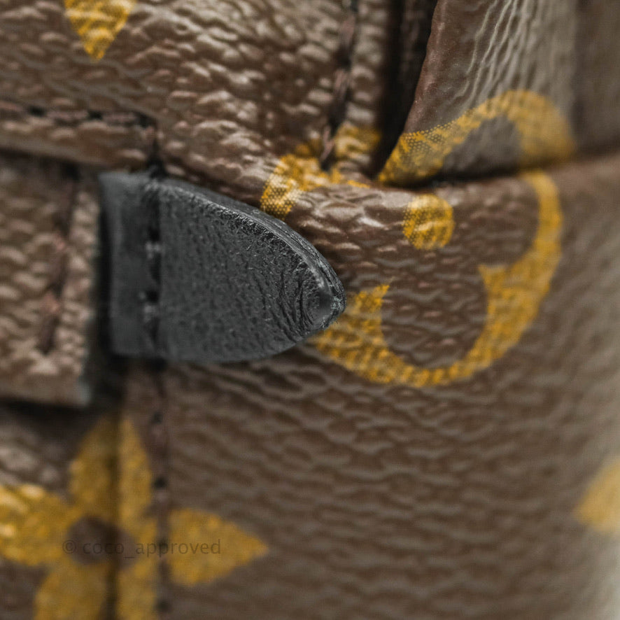 Louis Vuitton Mini Palm Springs Monogram Canvas Backpack⁣
