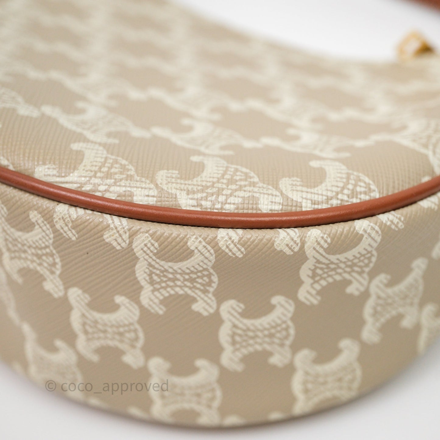 Celine Ava Bag In Triomphe Canvas Calfskin Grege