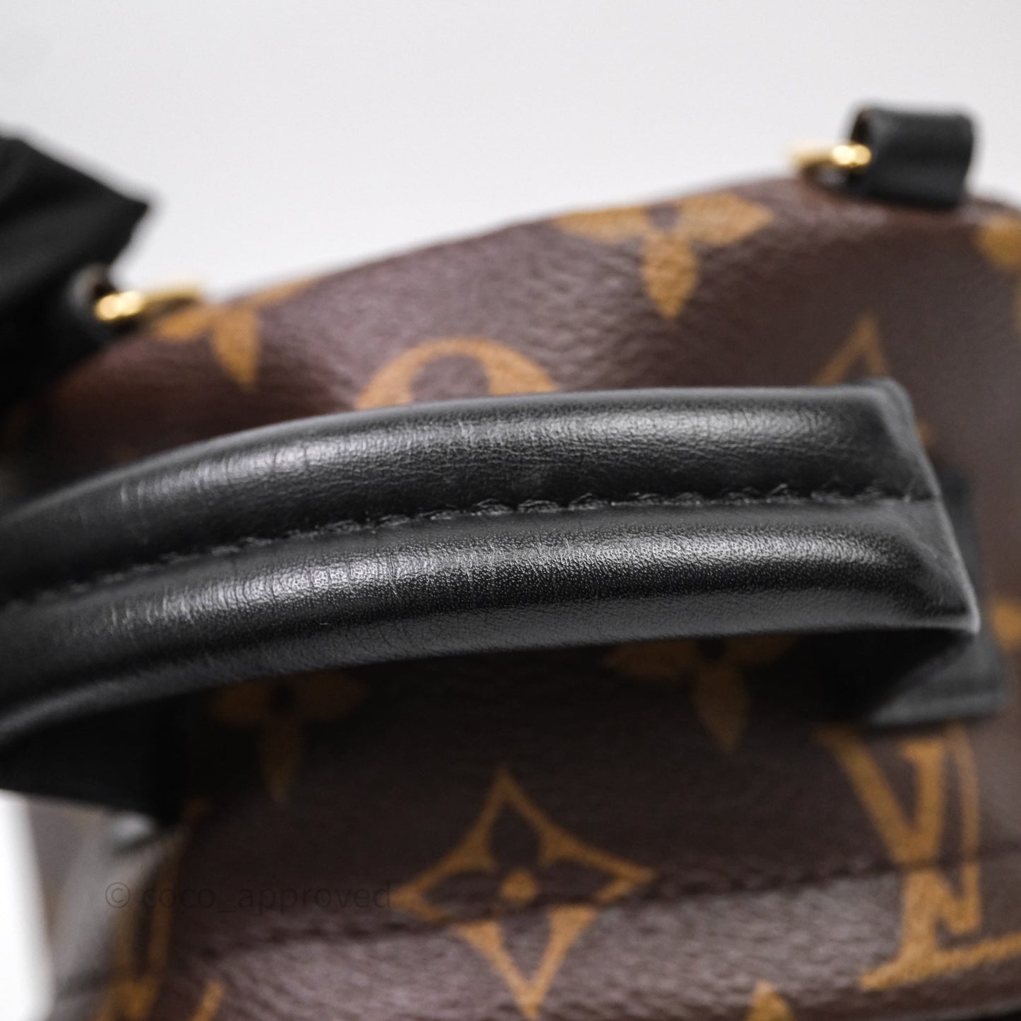 Louis Vuitton Mini Palm Springs Backpack⁣ Monogram