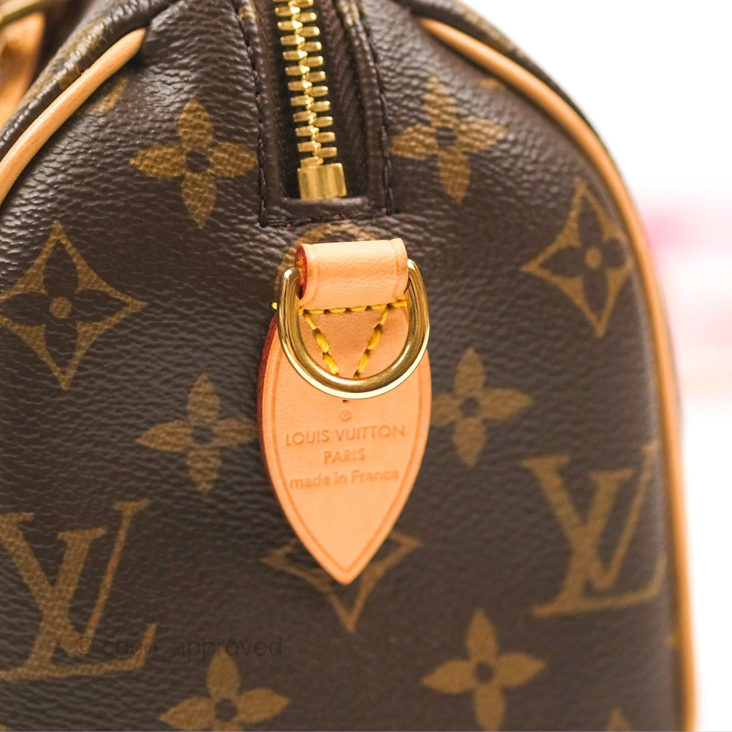 Louis Vuitton Speedy Bandoulière 20 Monogram
