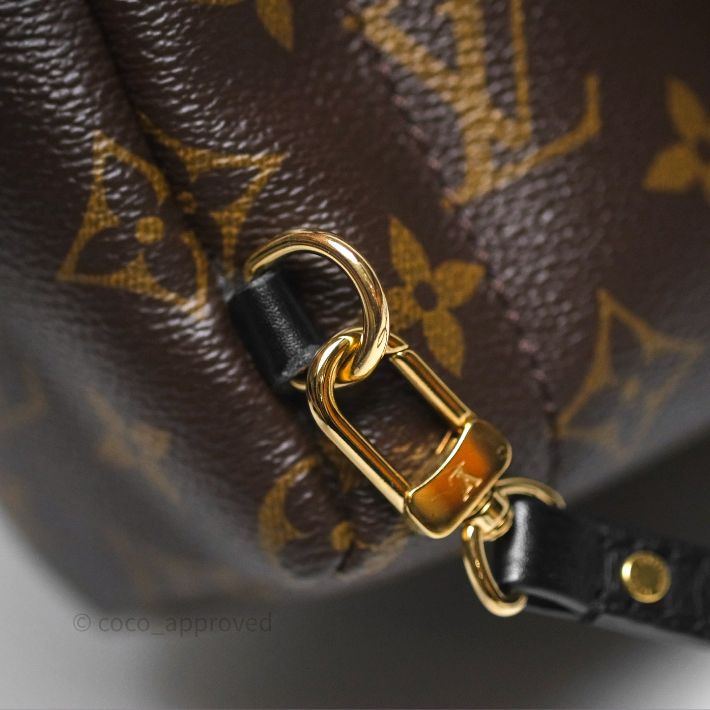 Louis Vuitton Monogram Mini Palm Springs Backpack⁣