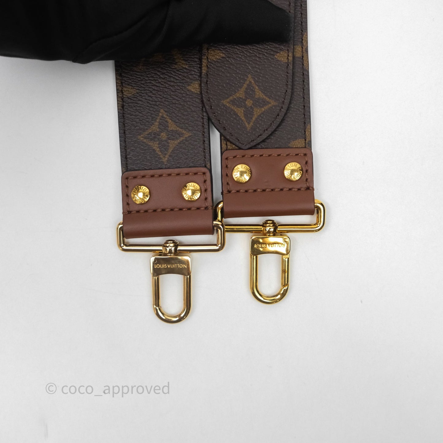 Louis Vuitton Papillon Trunk Monogram Coated Canvas