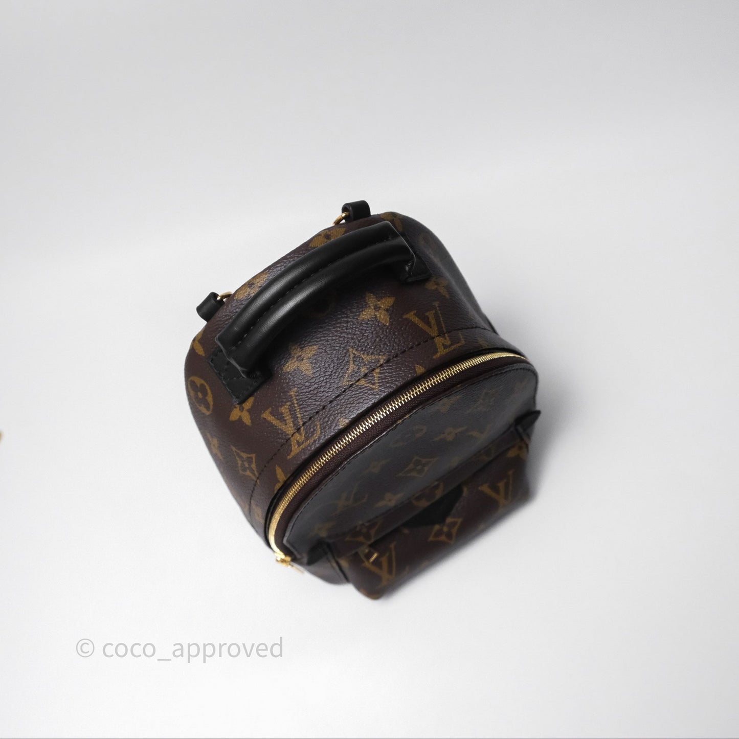 Louis Vuitton Mini Palm Springs Backpack⁣ Monogram