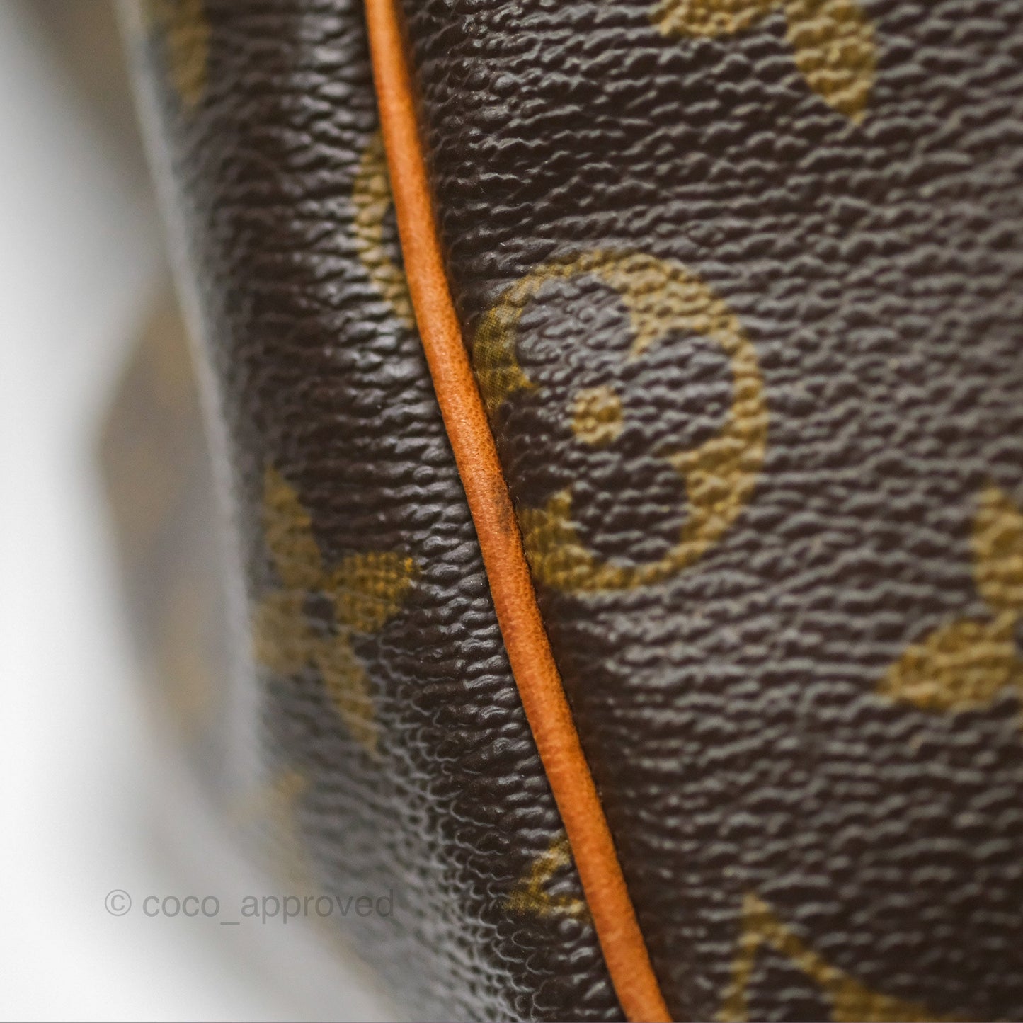 Louis Vuitton Speedy 30 Monogram Canvas