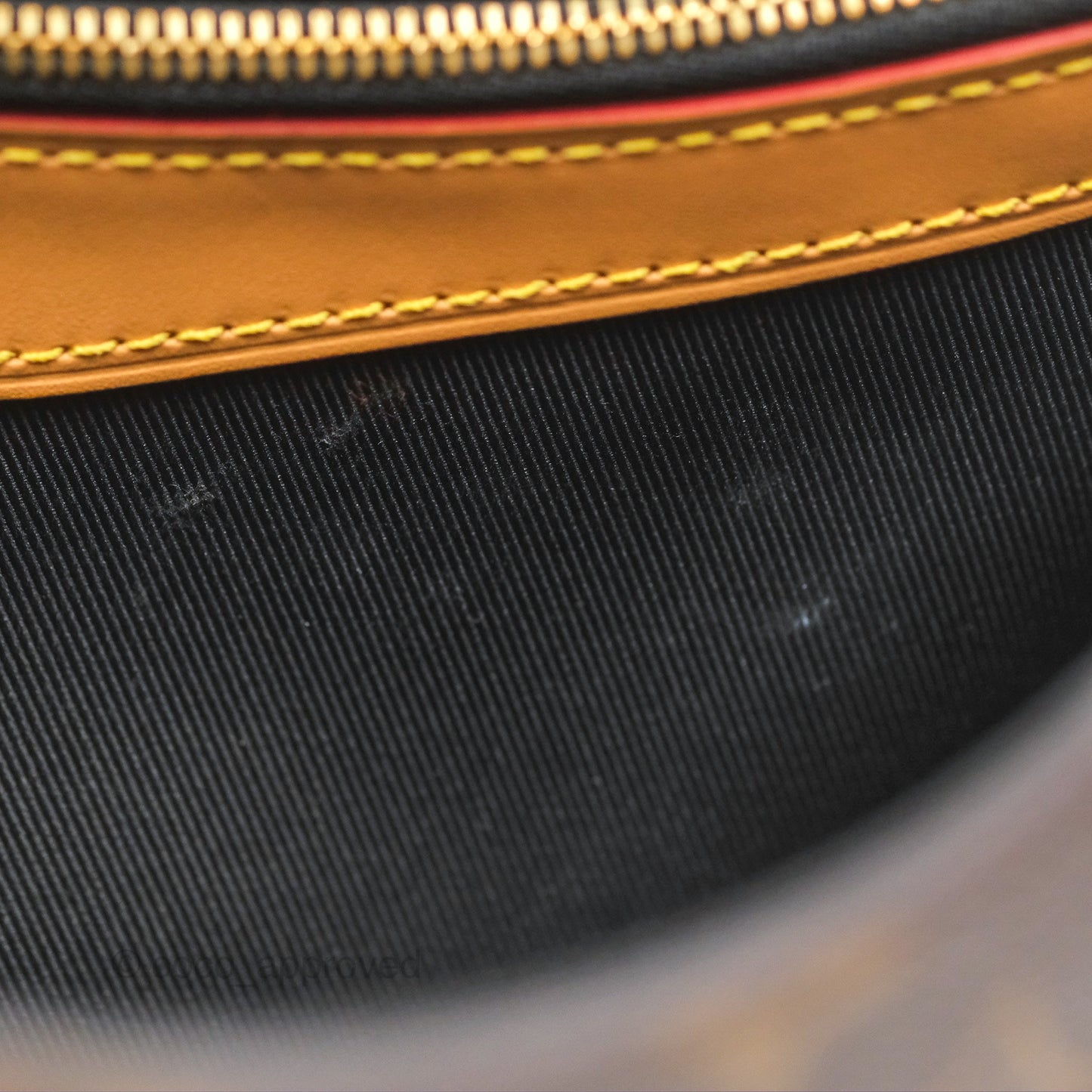 Louis Vuitton Diane Bag Monogram Canvas with Jacquard Strap