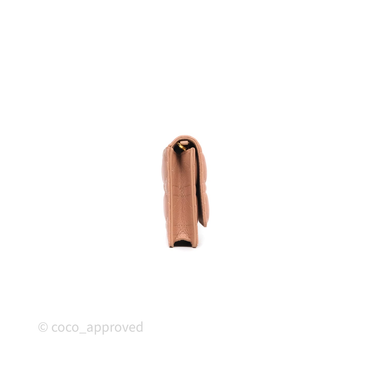 Christian Dior Caro Pouch with Chain In Supple Pink Cannage Calfskin