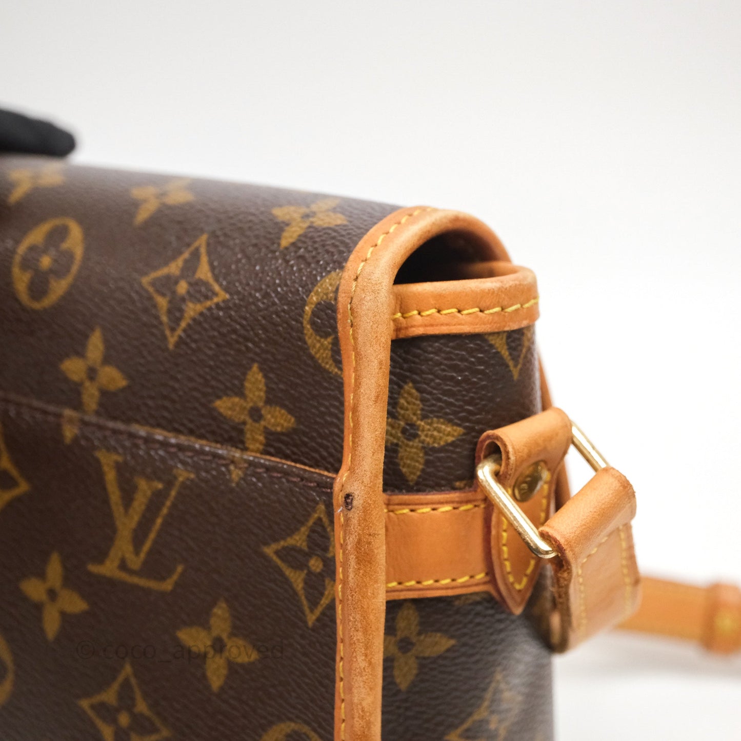 Louis Vuitton Vintage Diane Bag Monogram Canvas