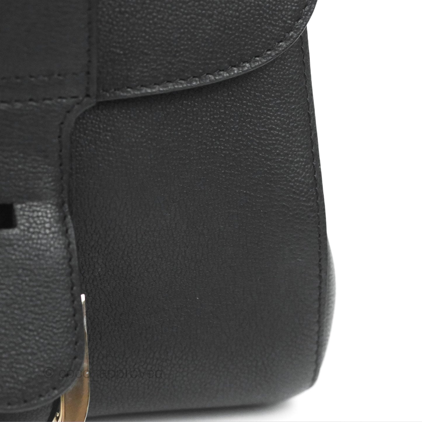 Delvaux Mini Brillant Bag Vegetal Rodeo Black Calf Silver Hardware