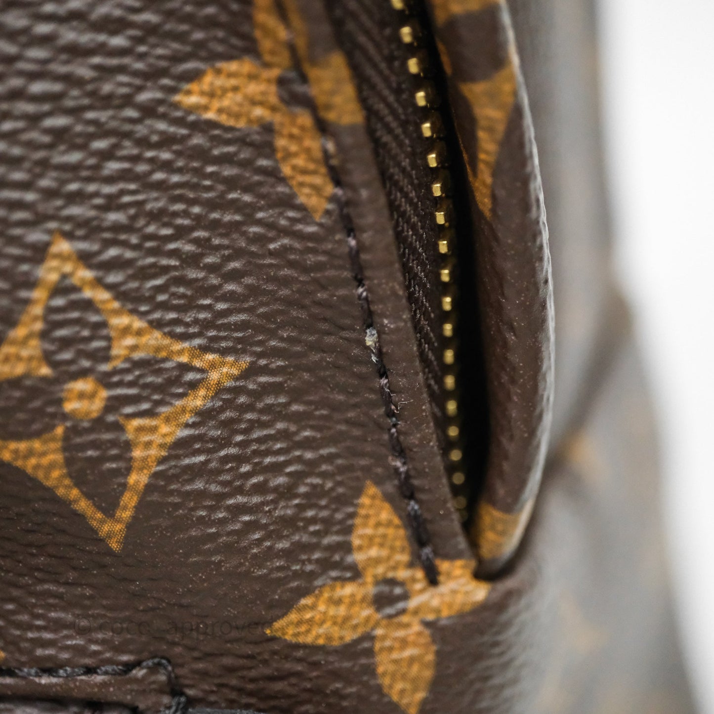 Louis Vuitton Palm Springs Backpack⁣ Monogram PM