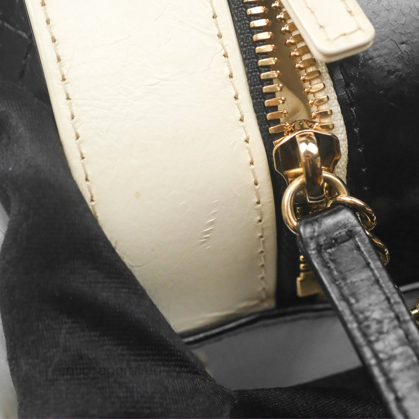 Chanel Camera Case Bag Black/White Calfskin Gold Hardware