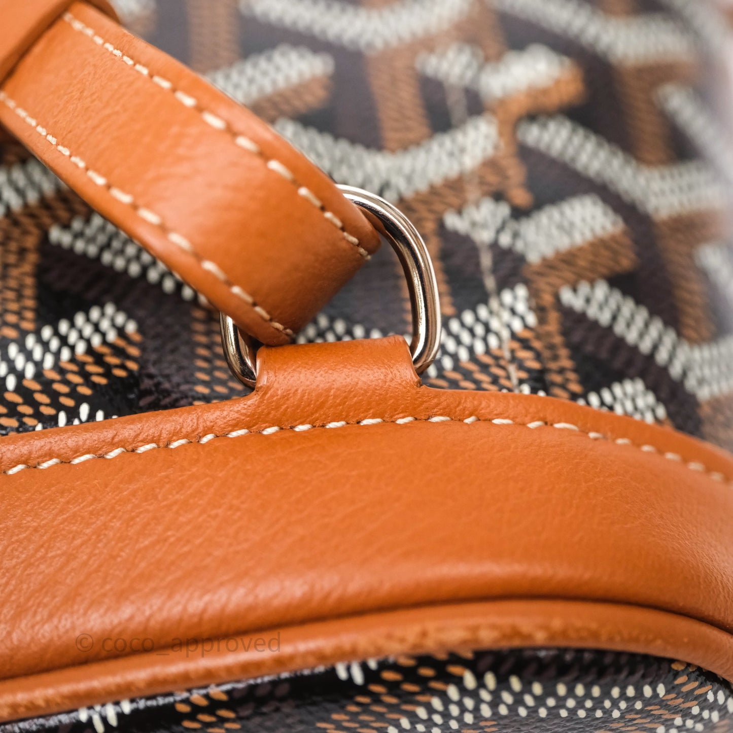 Goyard Mini Alpin Backpack Black/ Tan  Goyardine Calfskin