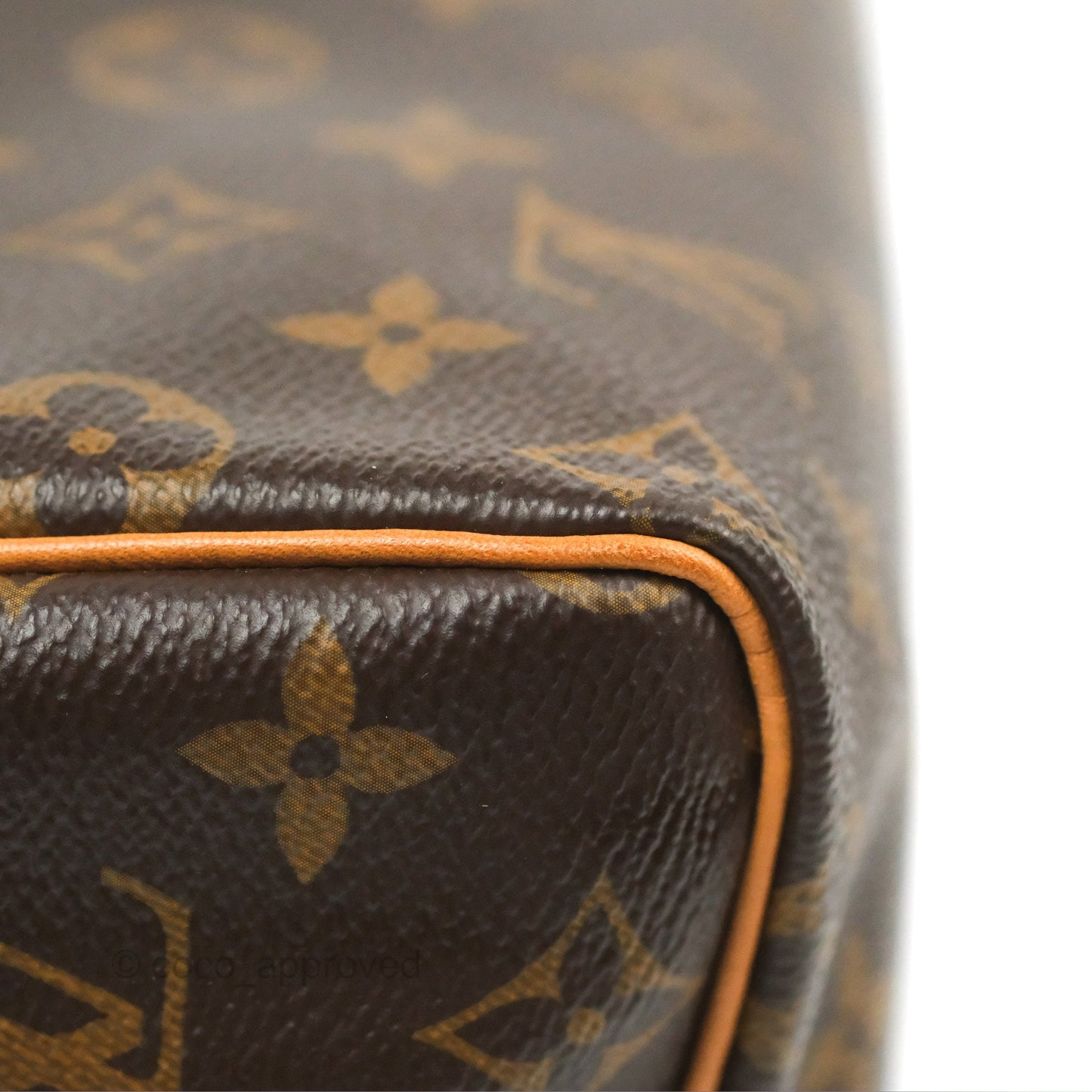 Louis Vuitton Speedy 25 Monogram Canvas