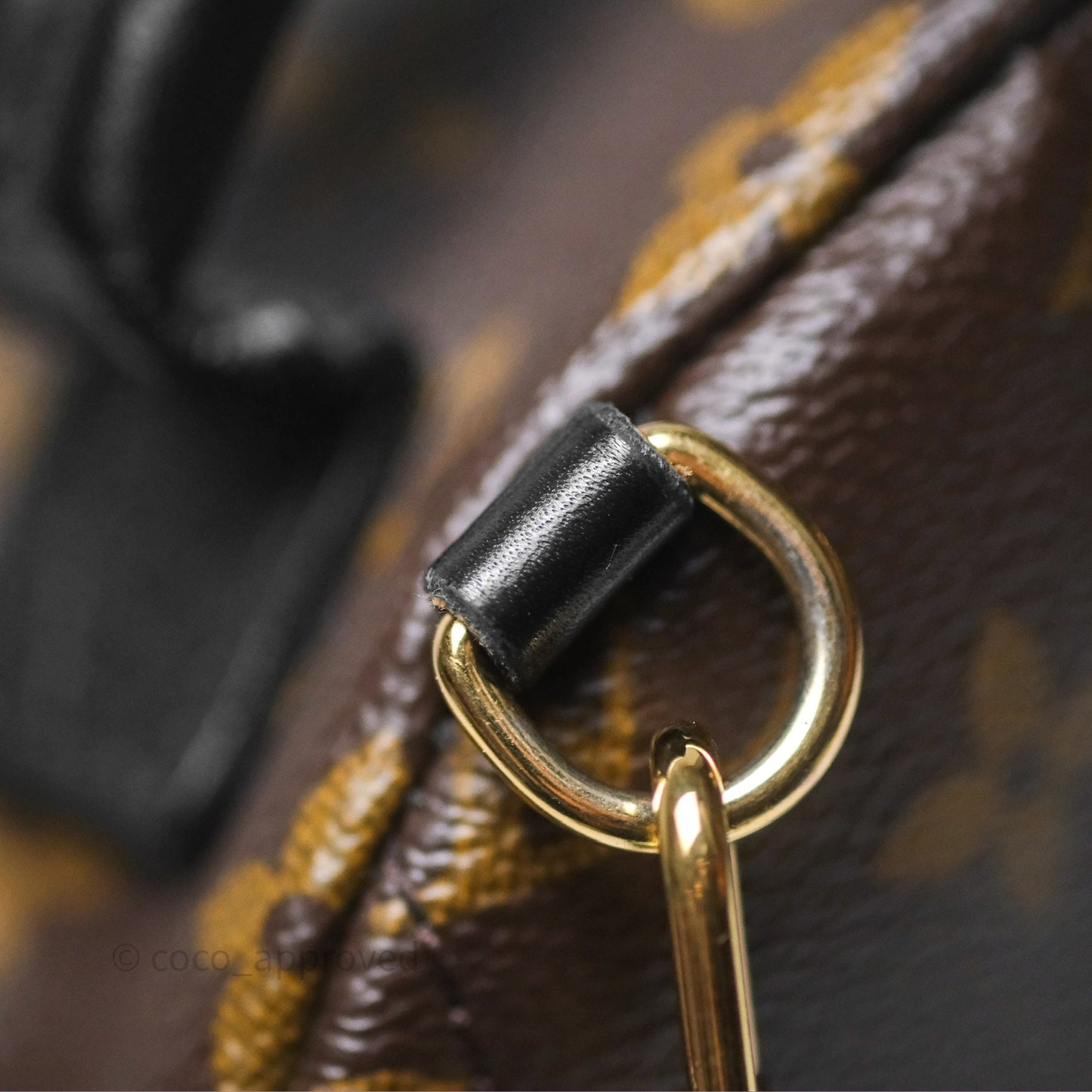 Louis Vuitton Monogram Mini Palm Springs Backpack⁣