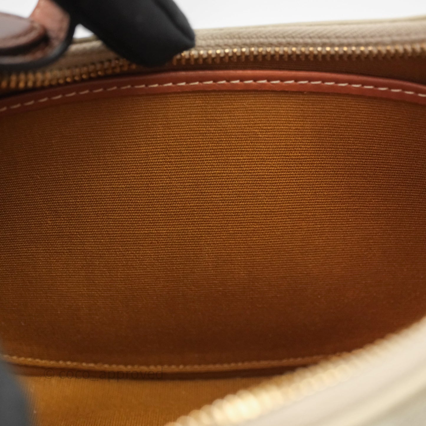 Celine Ava Bag In Triomphe Canvas Calfskin Grege
