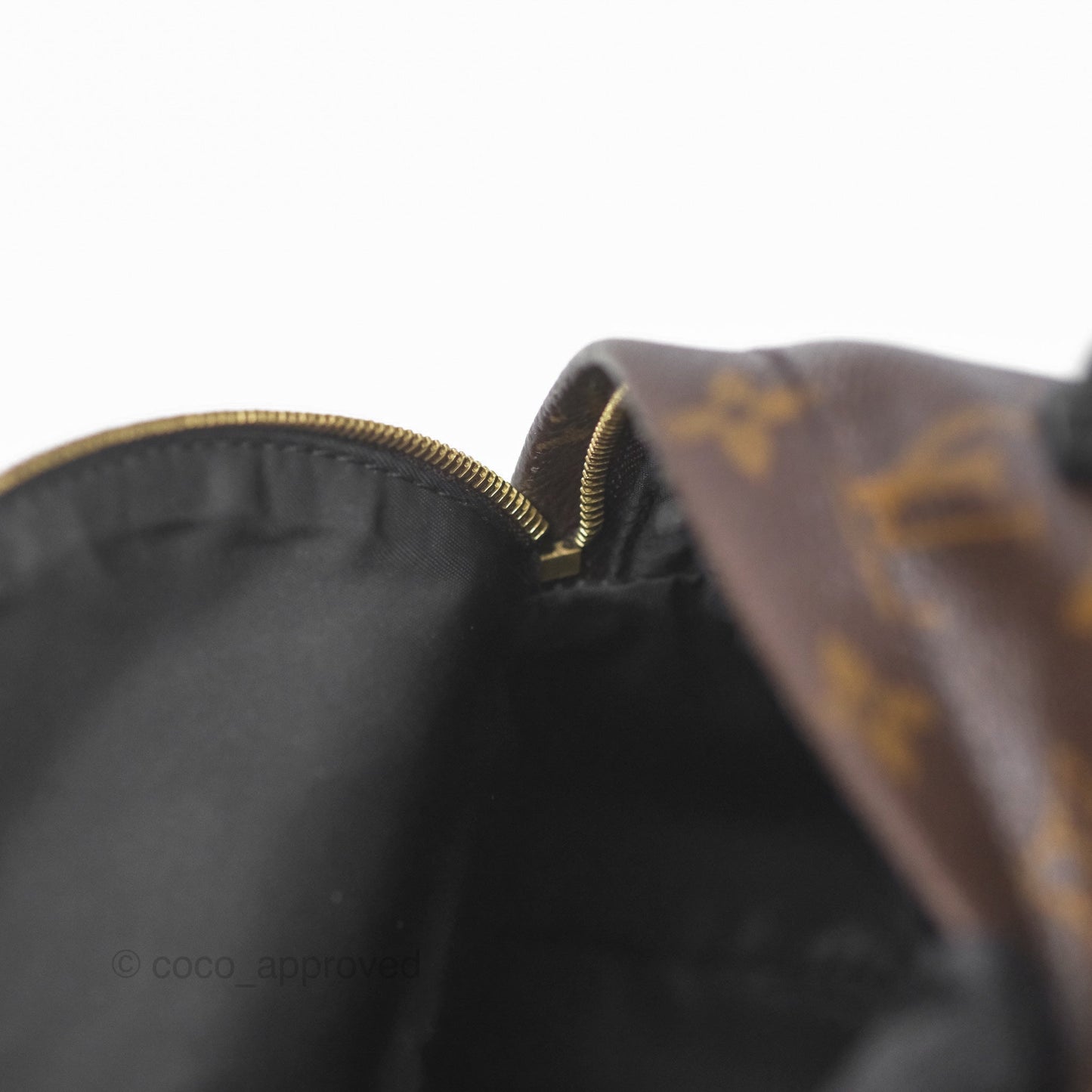 Louis Vuitton Monogram Mini Palm Springs Backpack⁣