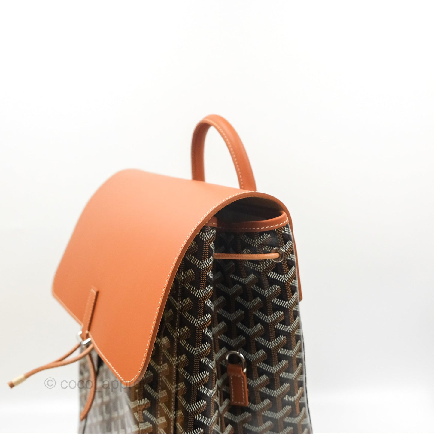 Goyard Alpin MM Backpack Black/ Tan