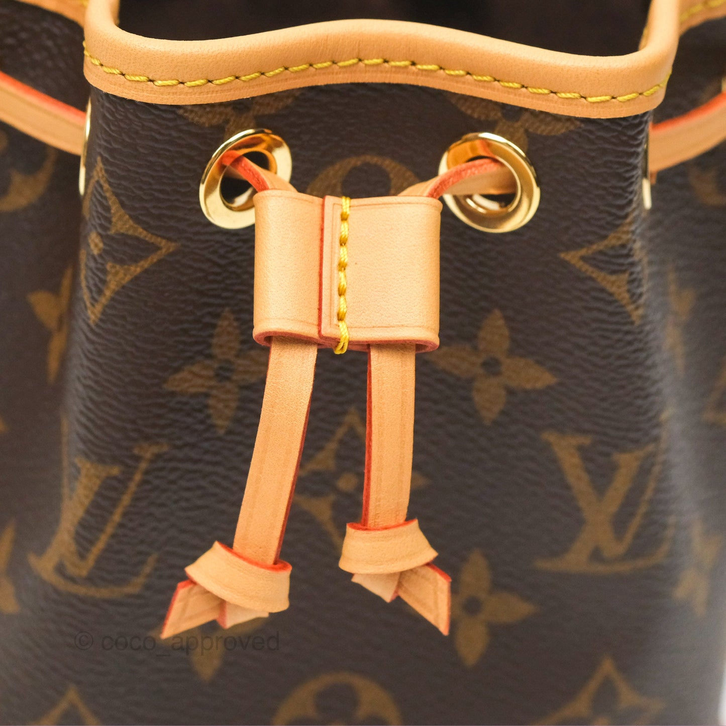 Louis Vuitton Nano Noe Monogram Canvas