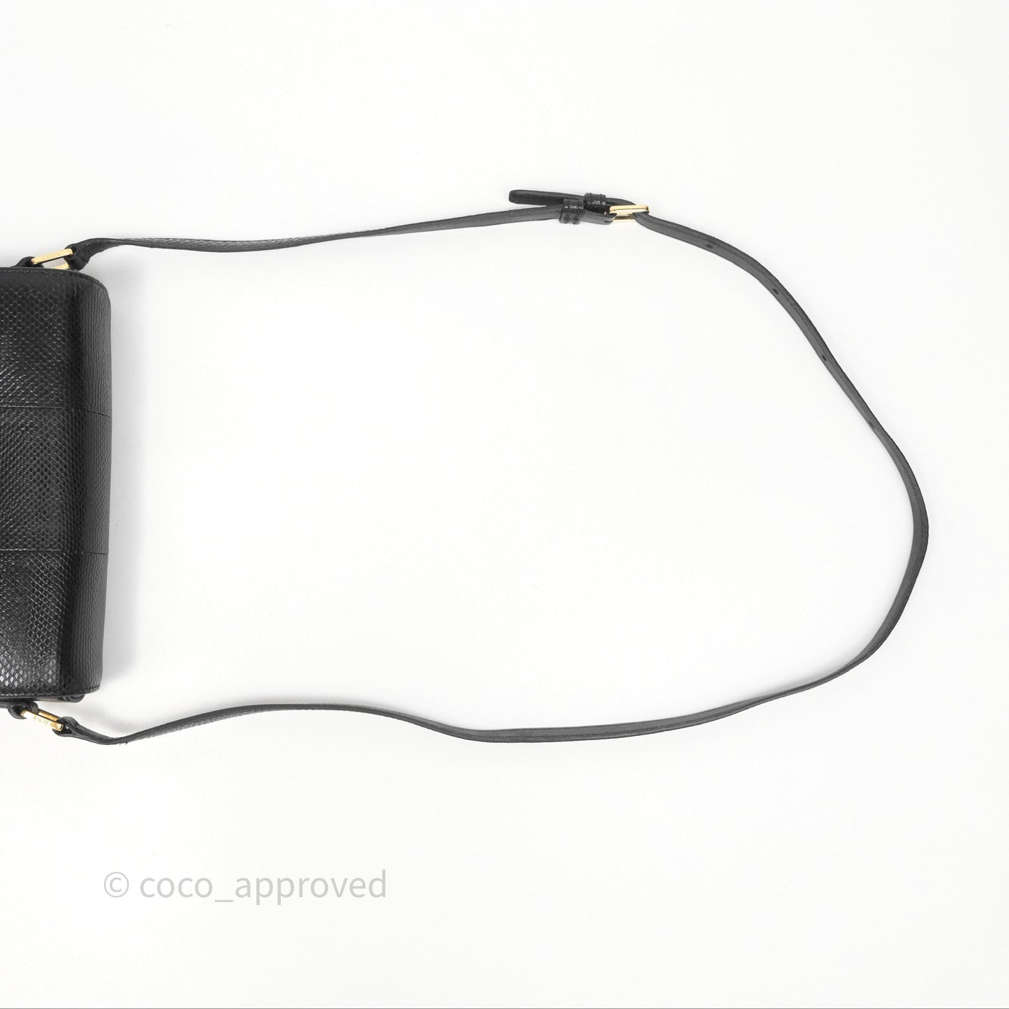 Celine Lizard Small Pampille C Bag Black Gold Hardware