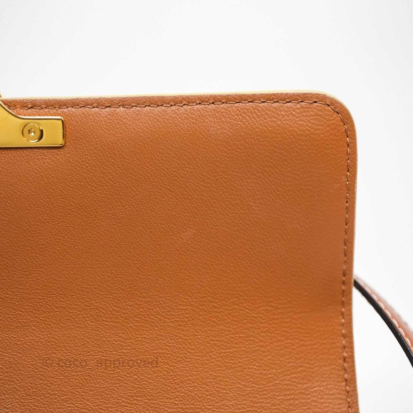 Celine Triomphe Shoulder Bag White Calfskin Triomphe Canvas